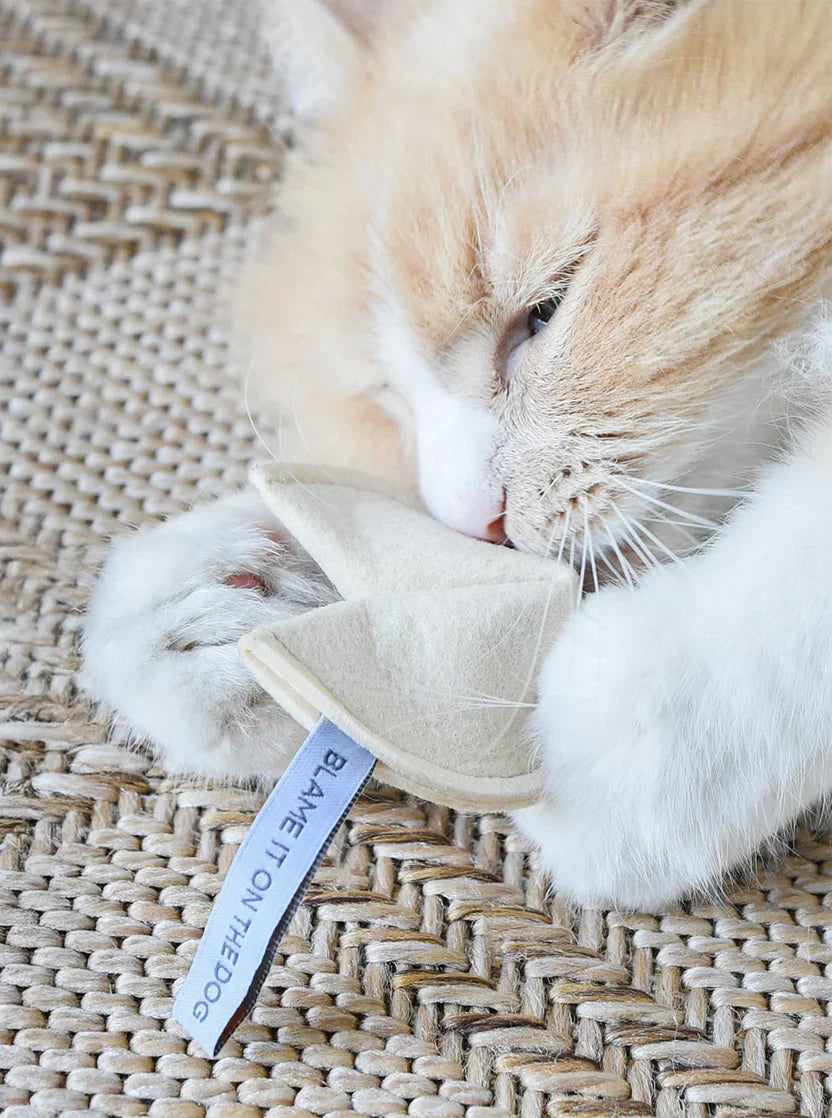 Catnip