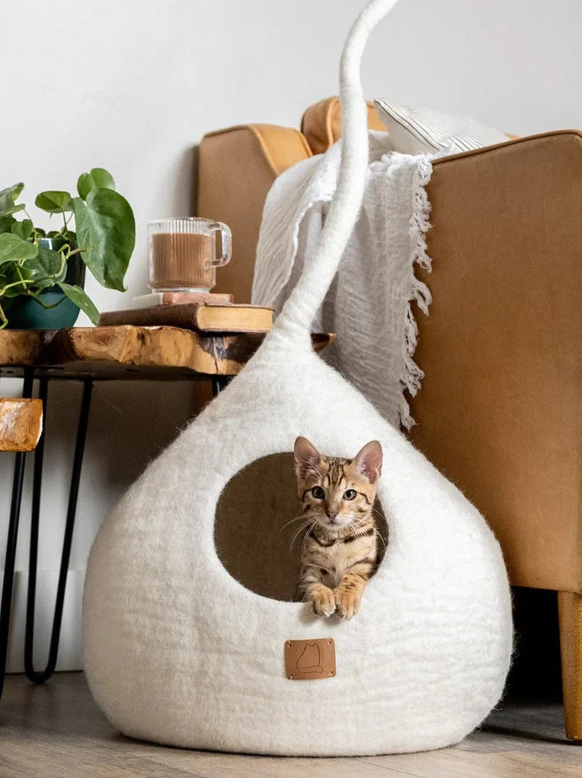 Cat Beds, Caves and Tents