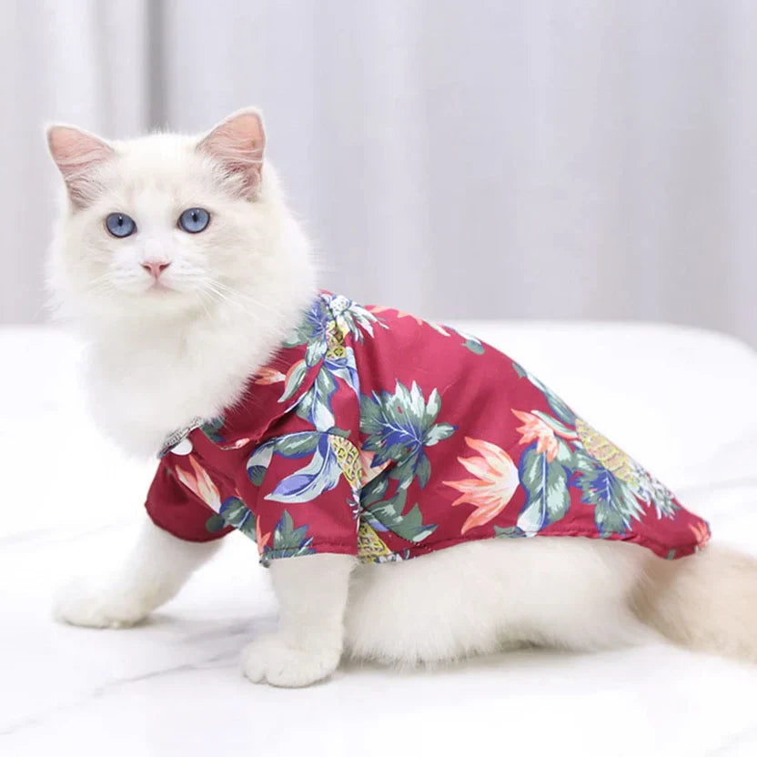 Cat Clothing