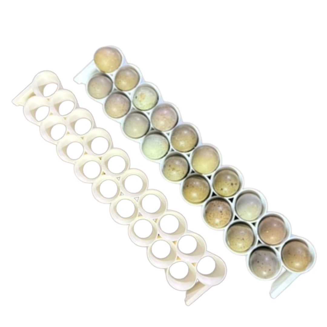 Standard & Button Quail Egg Rails for Cimuka®/Hatching Time® Incubators (CT-Series)