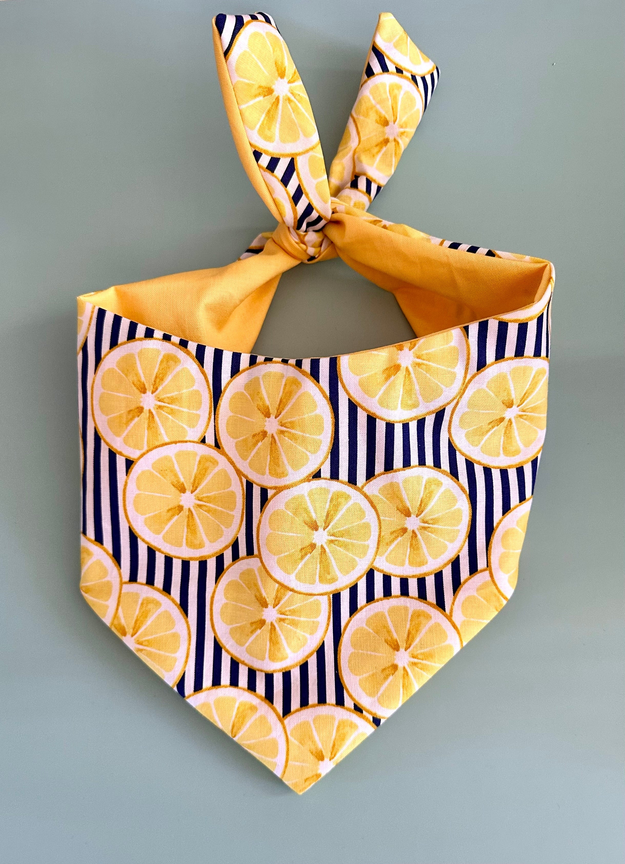 Lemon Dog Bandana by Happy Tails Outfitters