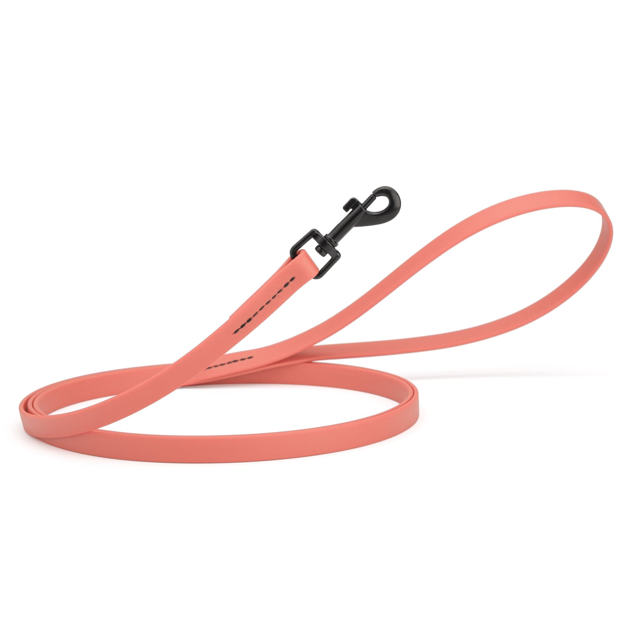 Biothane Waterproof Dog Leash, 4 ft by Dogline