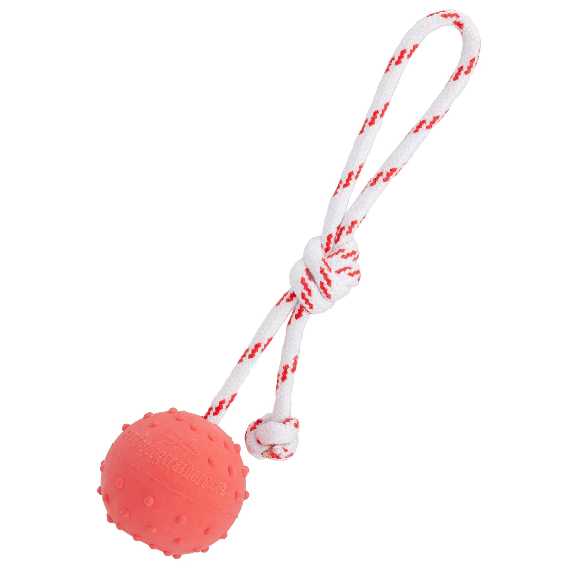 FDT Solid Rubber Dog Ball - Water Toy with Rope by Dogline