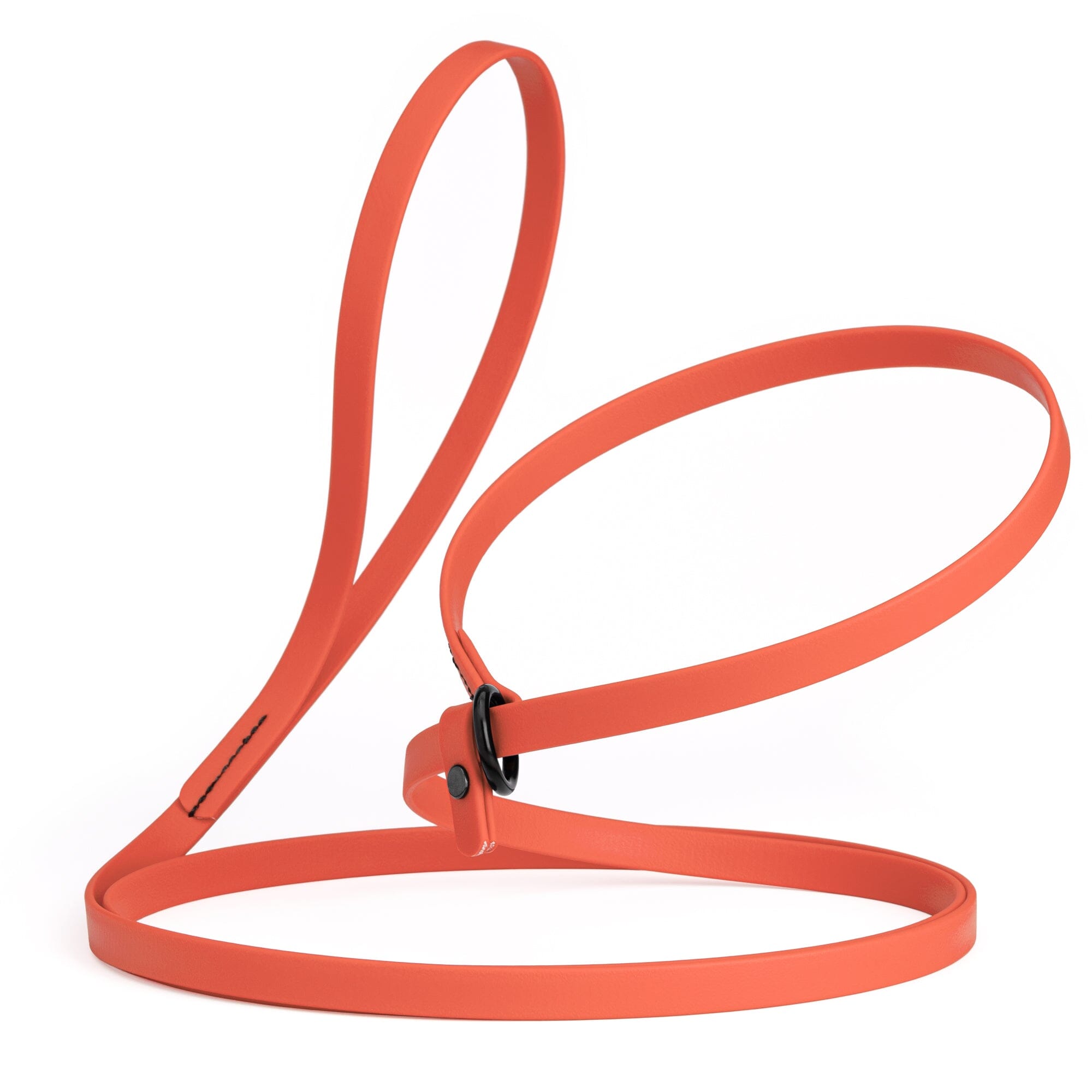 Biothane Slip Lead for Dogs, 5FT and 7FT by Dogline