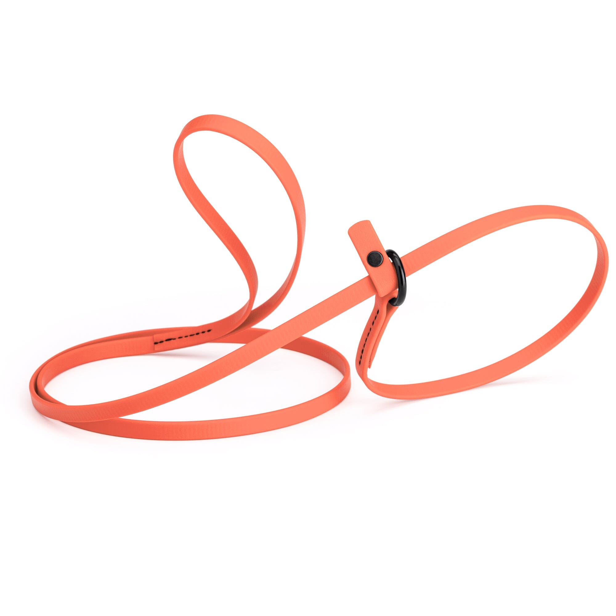 Biothane Slip Lead for Dogs, 5FT and 7FT by Dogline