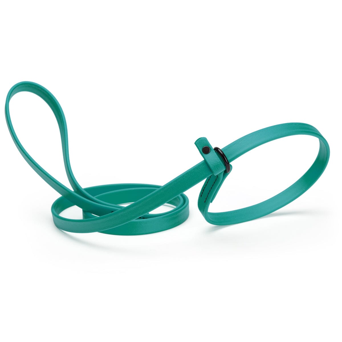 Biothane Slip Lead for Dogs, 5FT and 7FT by Dogline