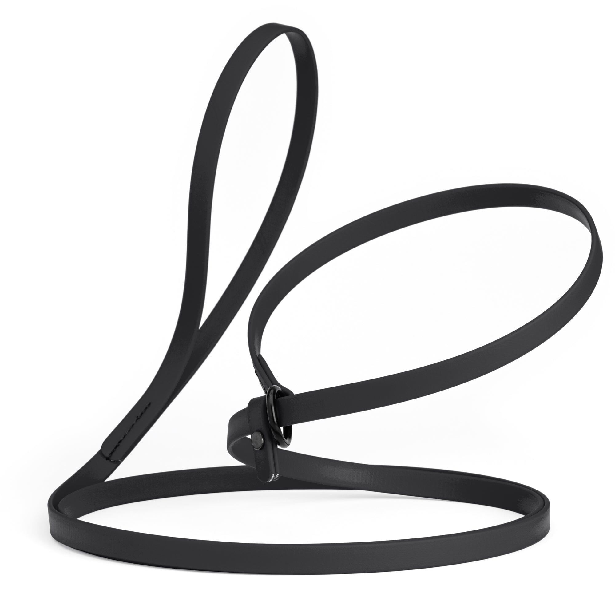 Biothane Slip Lead for Dogs, 5FT and 7FT by Dogline