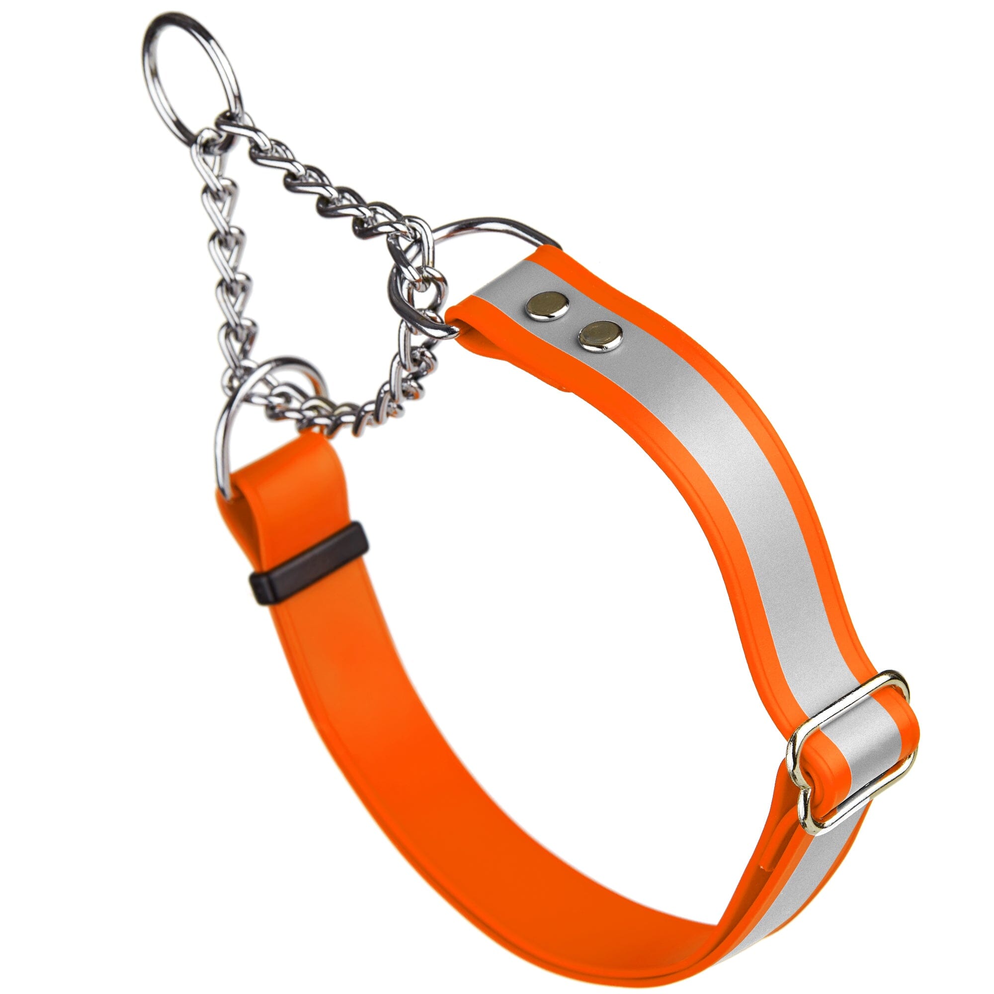 Reflective Biothane Martingale Collar for Dogs by Dogline