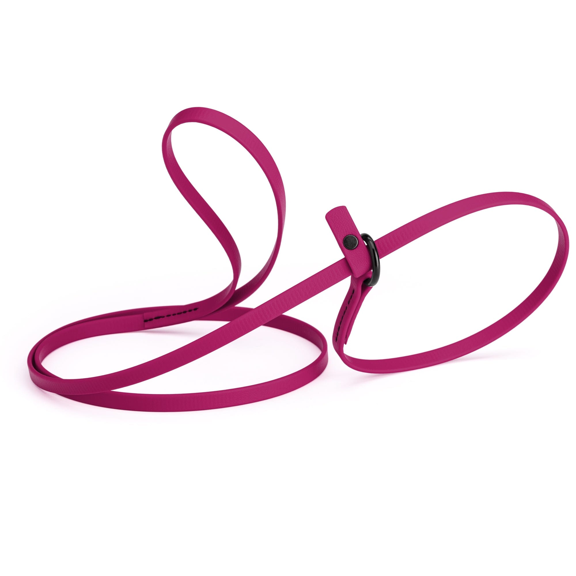 Biothane Slip Lead for Dogs, 5FT and 7FT by Dogline