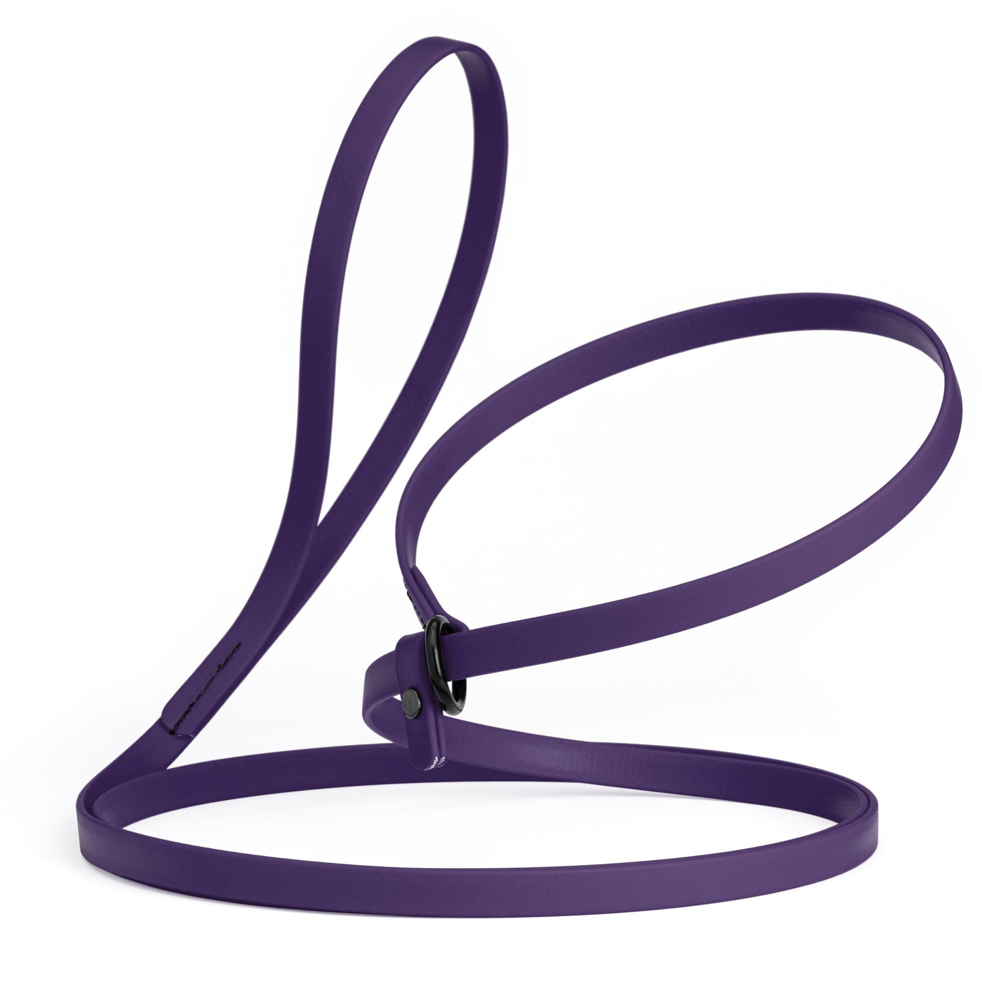 Biothane Slip Lead for Dogs, 5FT and 7FT by Dogline