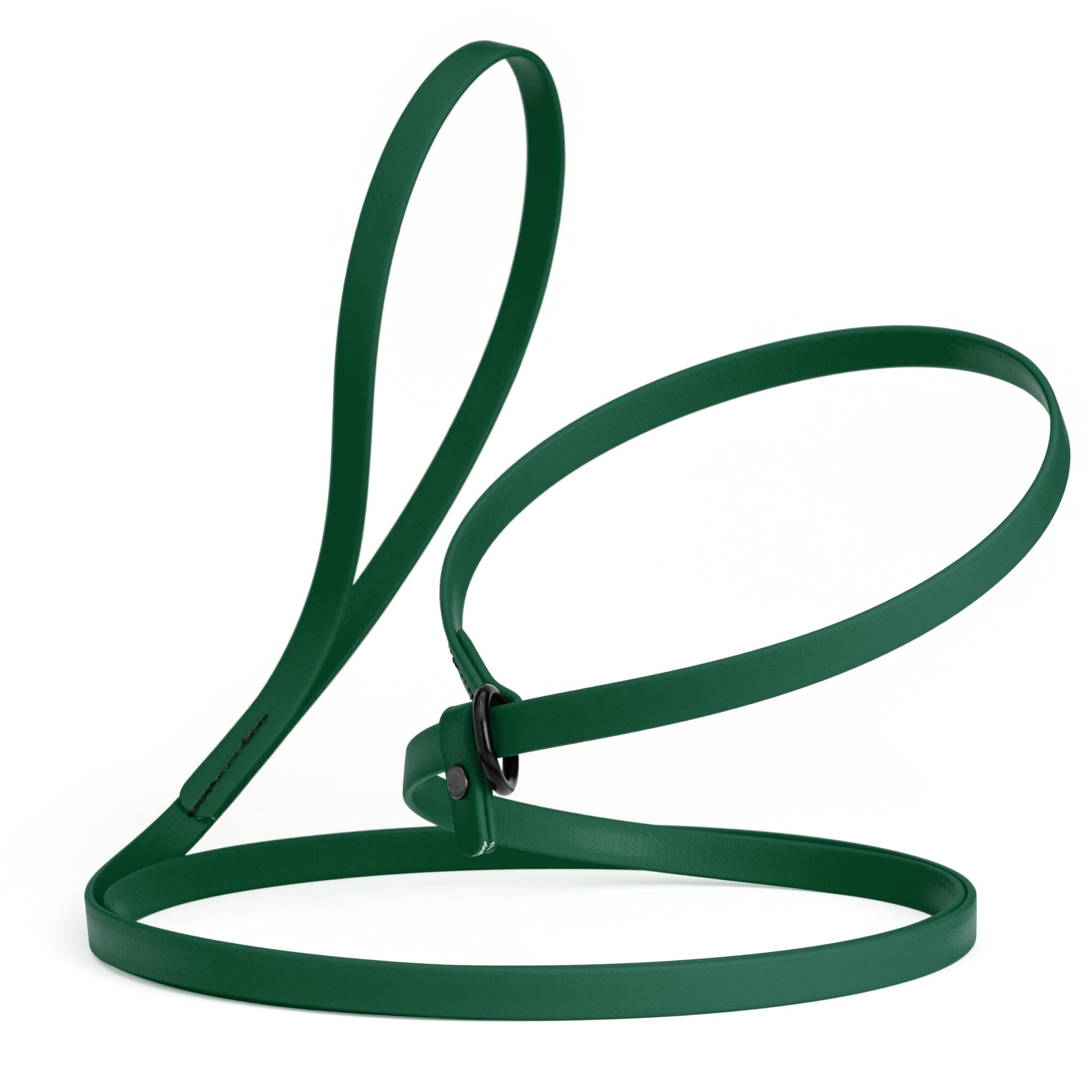 Biothane Slip Lead for Dogs, 5FT and 7FT by Dogline
