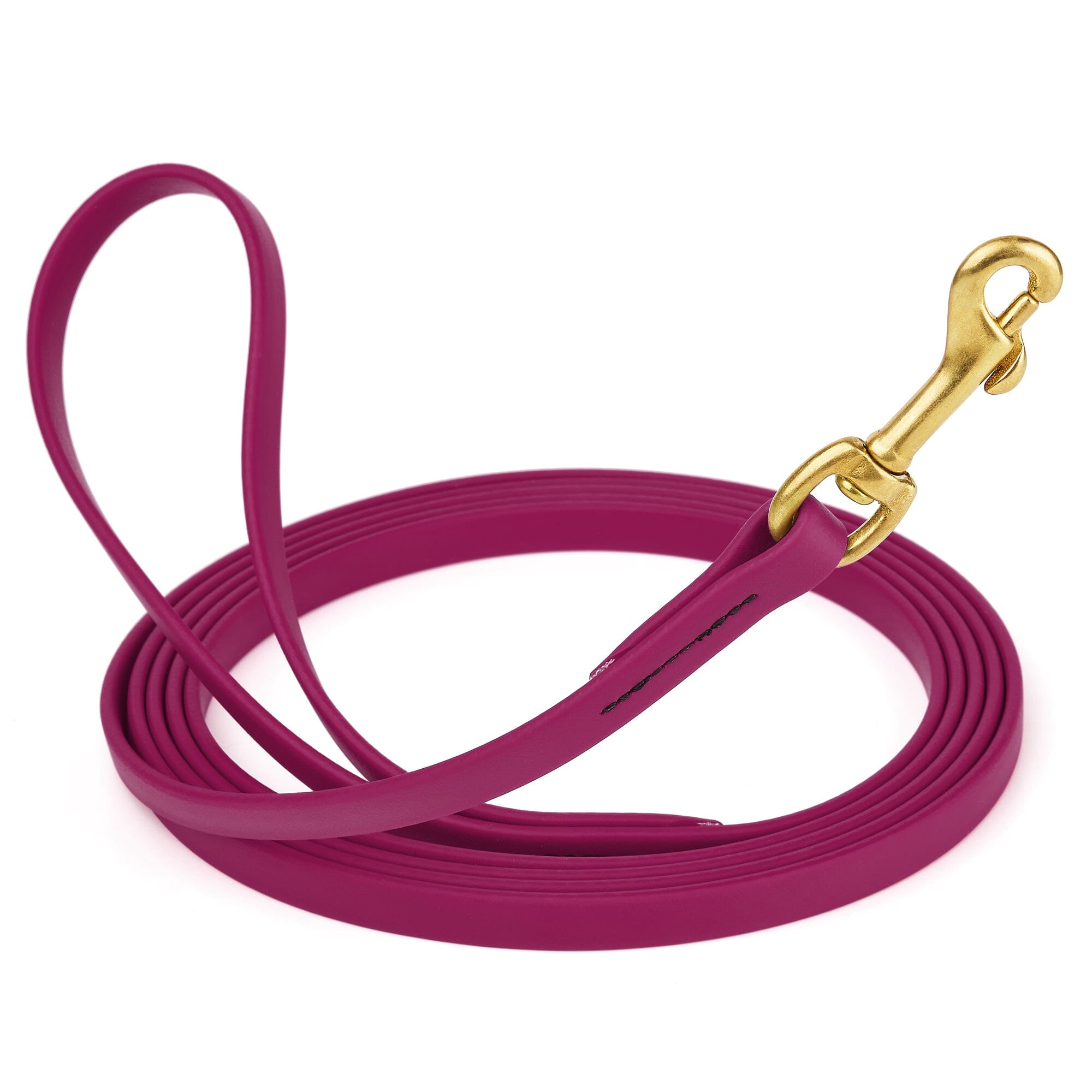 Viper Biothane Long Line 10 ft Lead with Brass Hardware by Dogline