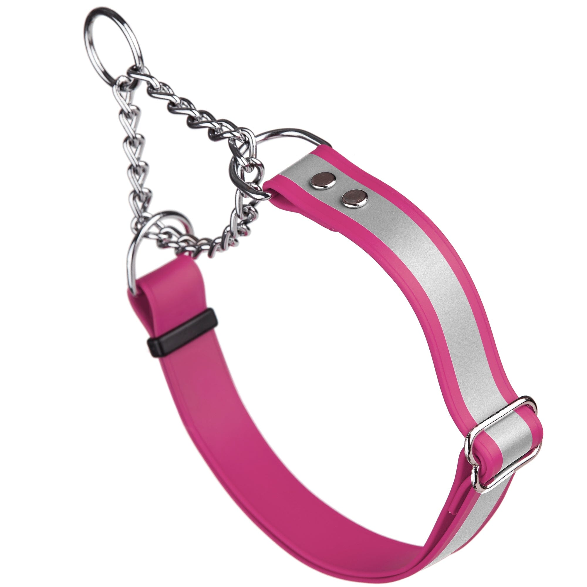 Reflective Biothane Martingale Collar for Dogs by Dogline