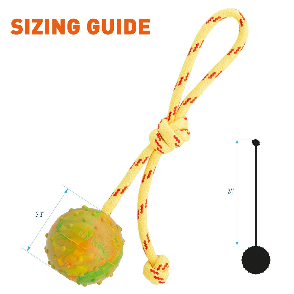 FDT Rubber Dog Ball on Rope, Medium - Diameter 2.3" (6 cm) by Dogline