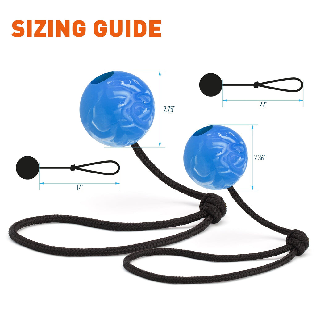 Rubber Euro Ball with Rope by Dogline