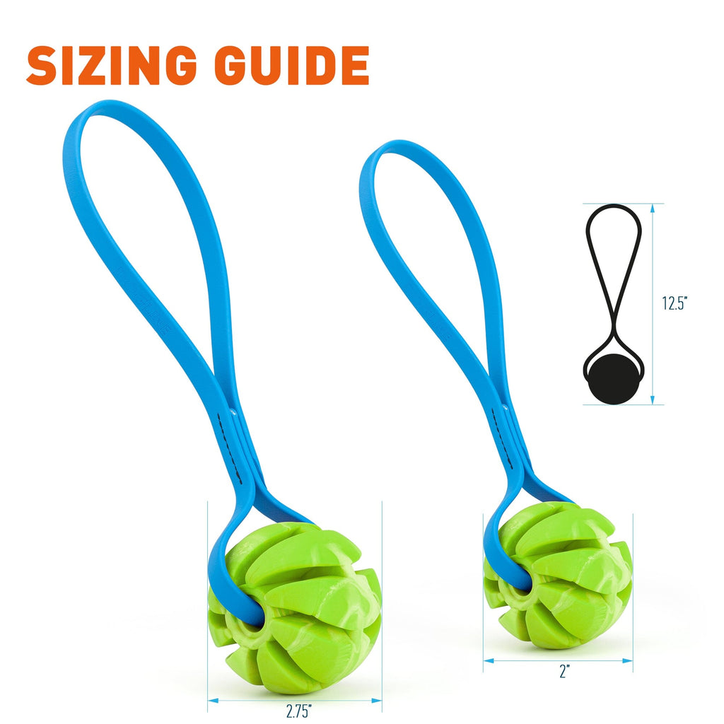 Rubber Spiral Ball with Biothane Handle by Dogline