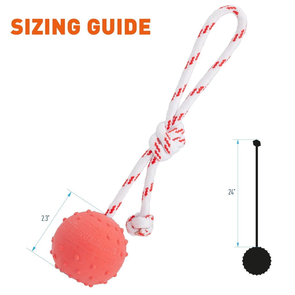 FDT Solid Rubber Dog Ball - Water Toy with Rope by Dogline