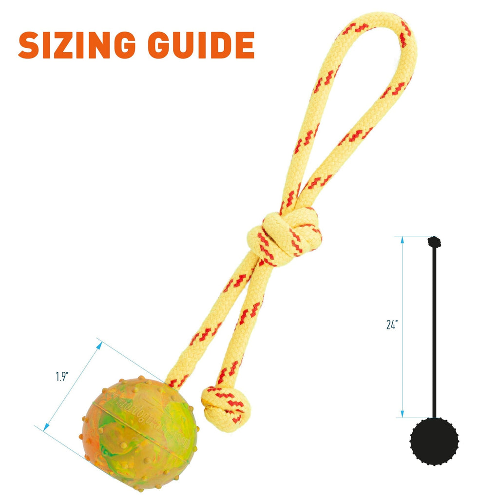 FDT Rubber Dog Ball on Rope, Small - Diameter 2" (5 cm) by Dogline