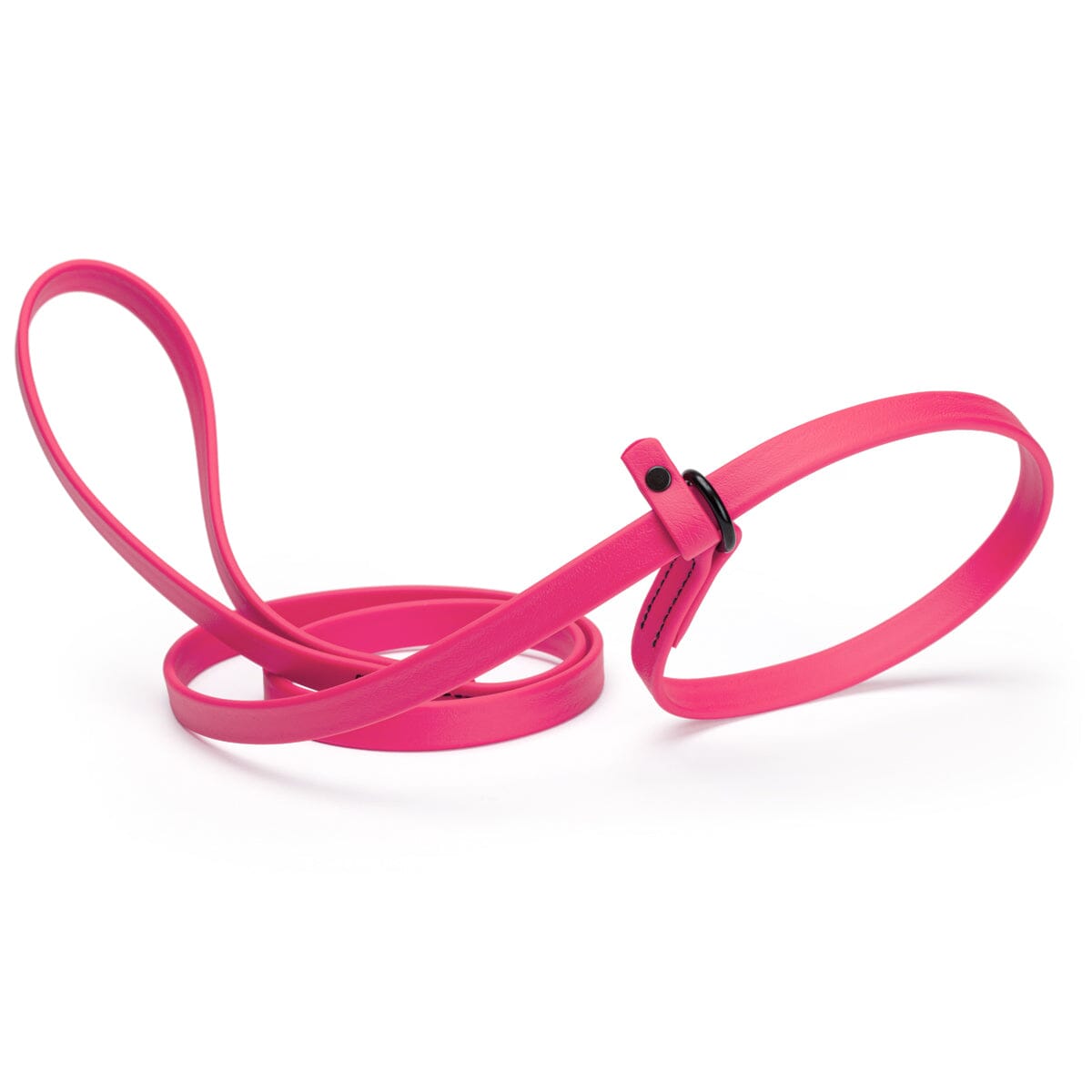 Biothane Slip Lead for Dogs, 5FT and 7FT by Dogline
