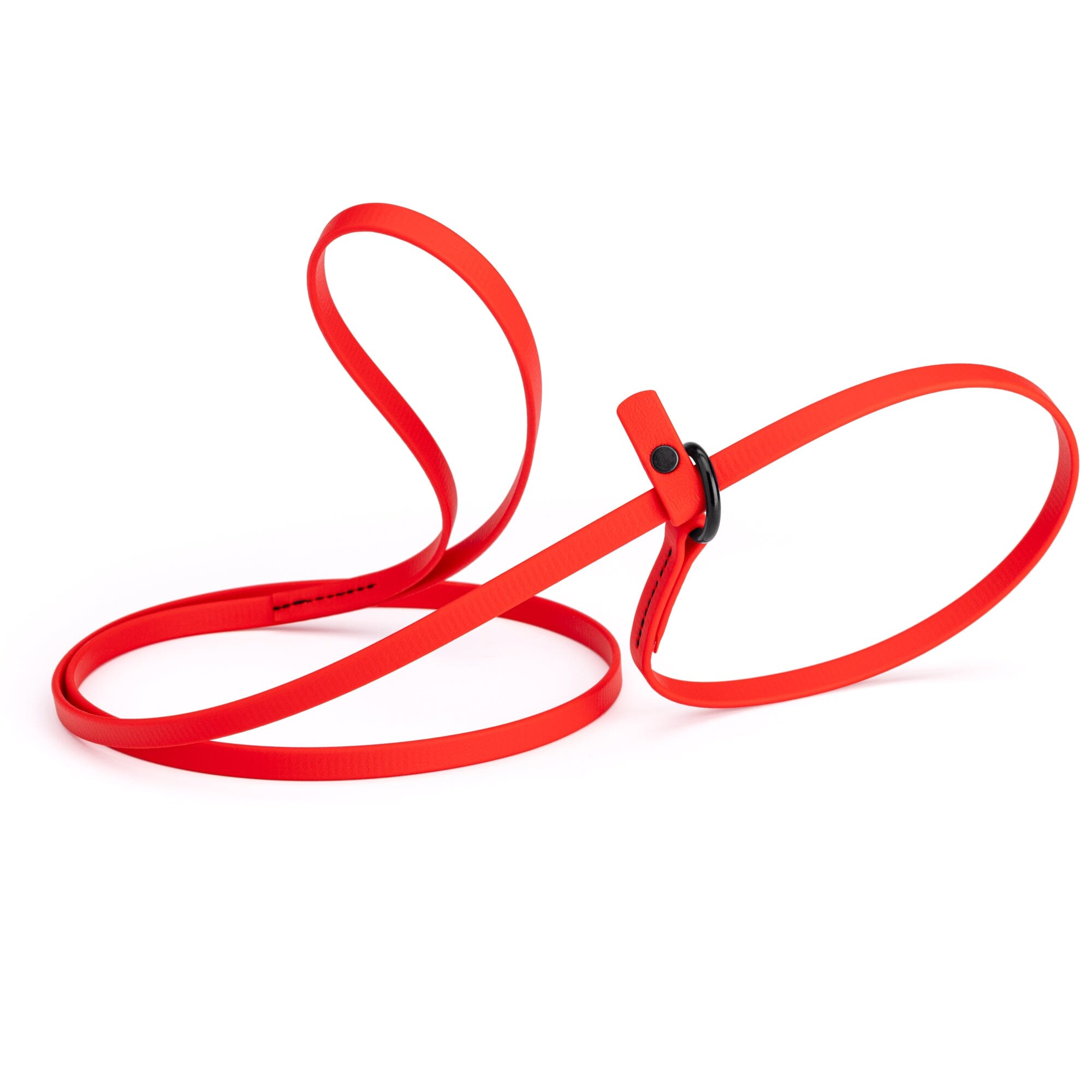 Biothane Slip Lead for Dogs, 5FT and 7FT by Dogline