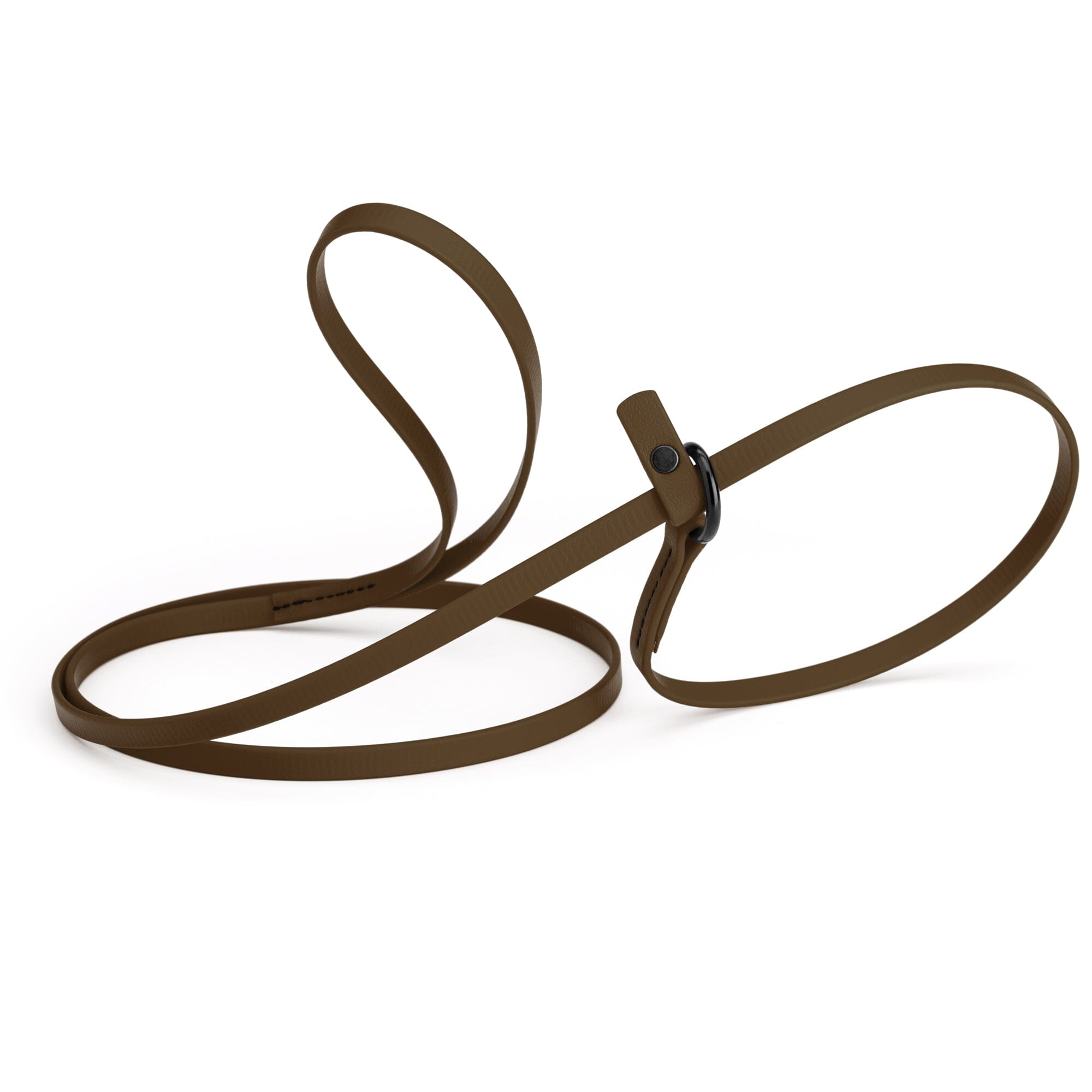 Biothane Slip Lead for Dogs, 5FT and 7FT by Dogline