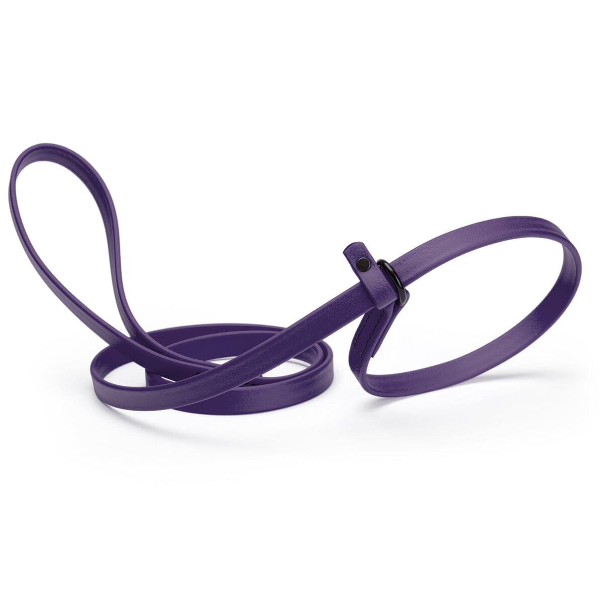 Biothane Slip Lead for Dogs, 5FT and 7FT by Dogline