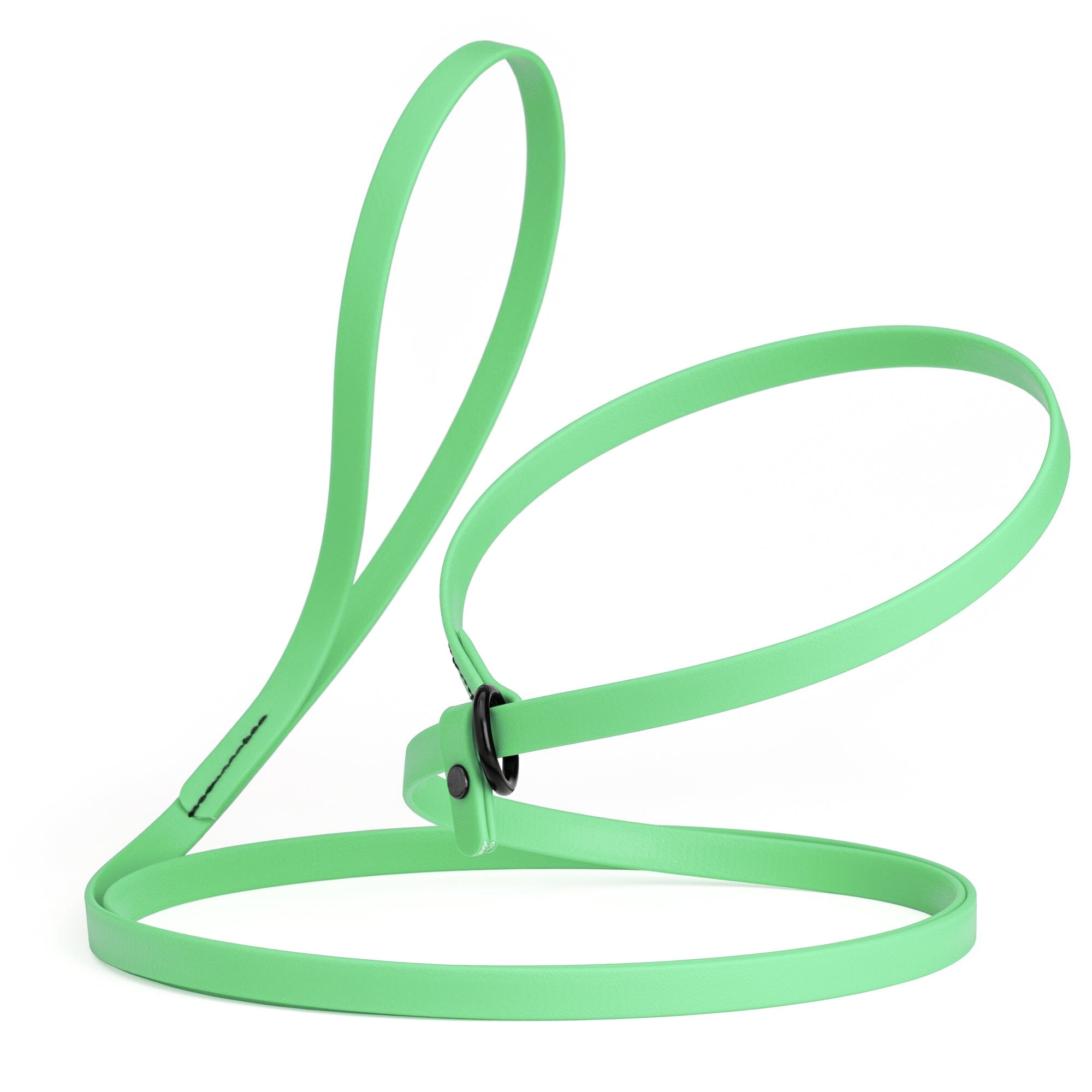 Biothane Slip Lead for Dogs, 5FT and 7FT by Dogline