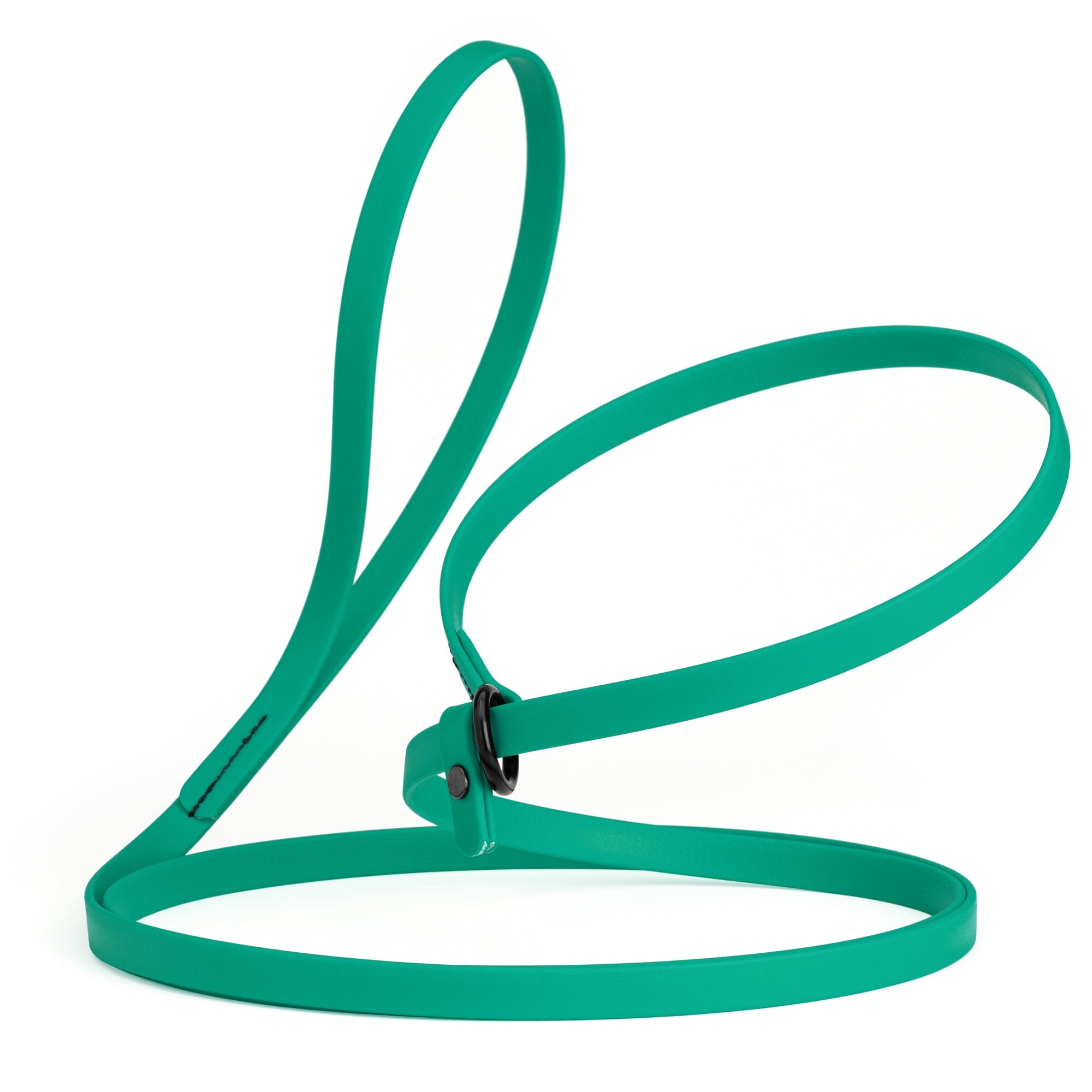 Biothane Slip Lead for Dogs, 5FT and 7FT by Dogline