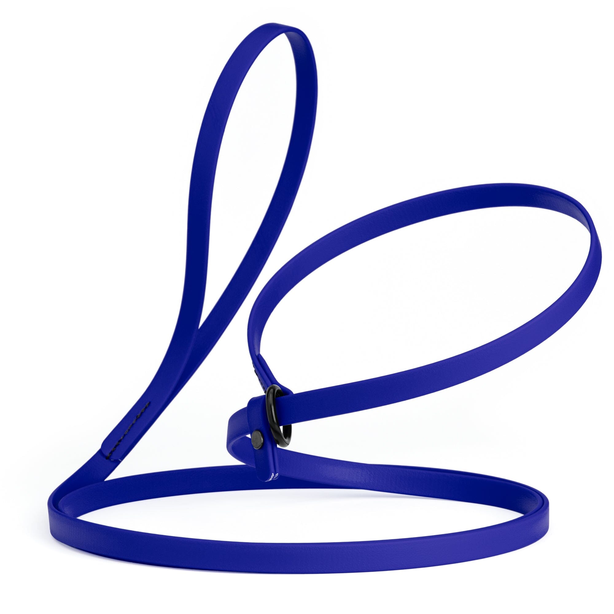 Biothane Slip Lead for Dogs, 5FT and 7FT by Dogline