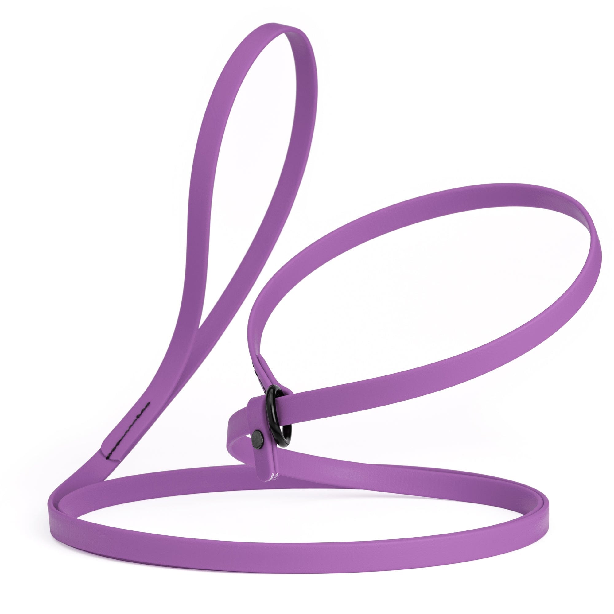 Biothane Slip Lead for Dogs, 5FT and 7FT by Dogline