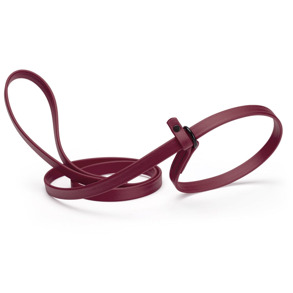 Biothane Slip Lead for Dogs, 5FT and 7FT by Dogline