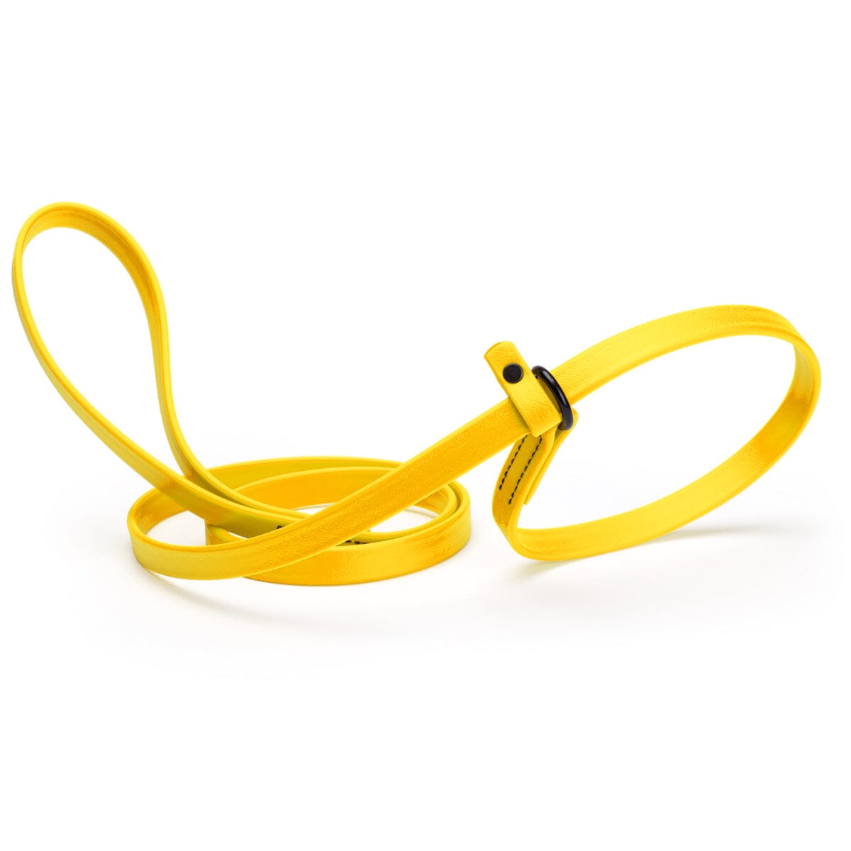 Biothane Slip Lead for Dogs, 5FT and 7FT by Dogline