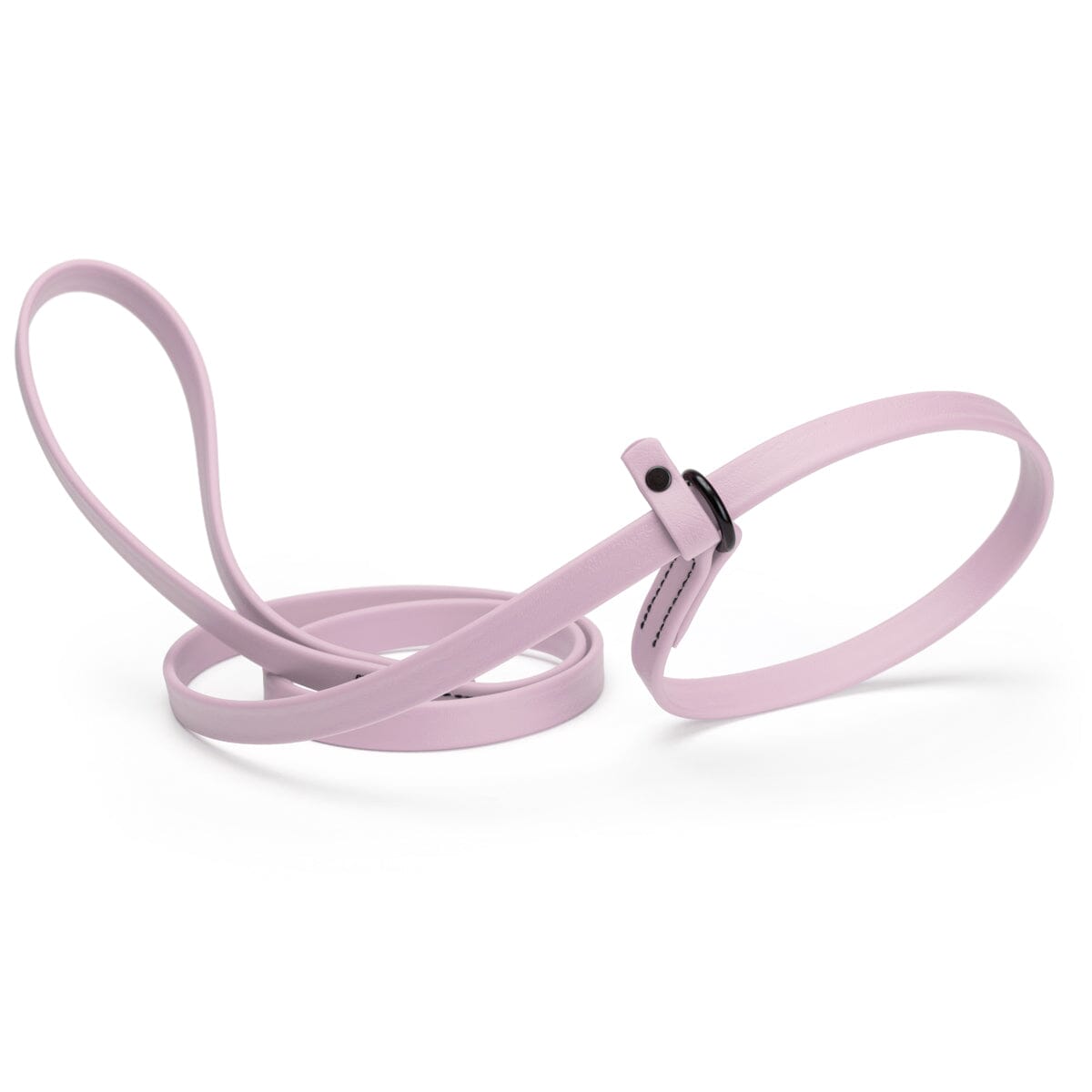 Biothane Slip Lead for Dogs, 5FT and 7FT by Dogline