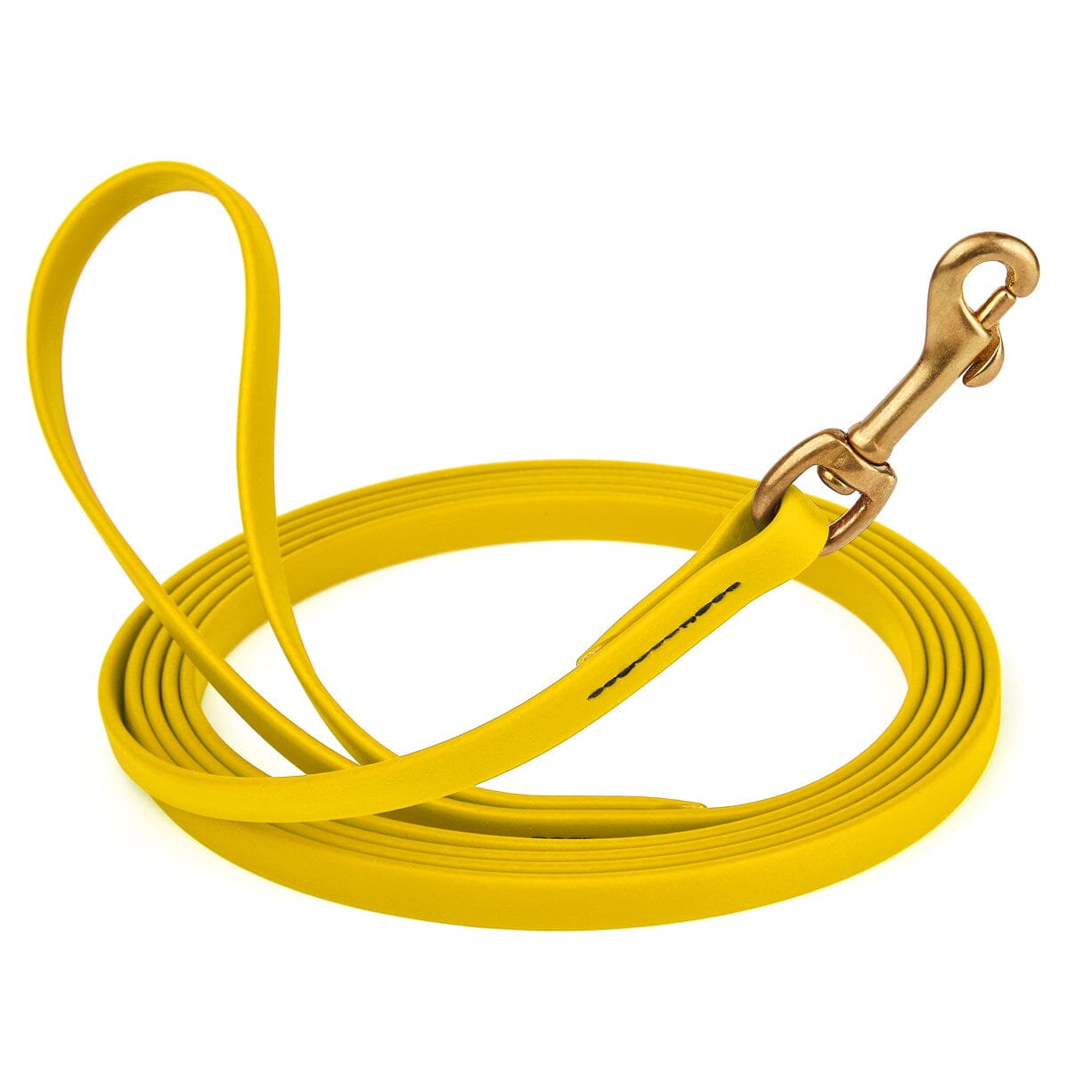 Viper Biothane Long Line 10 ft Lead with Brass Hardware by Dogline