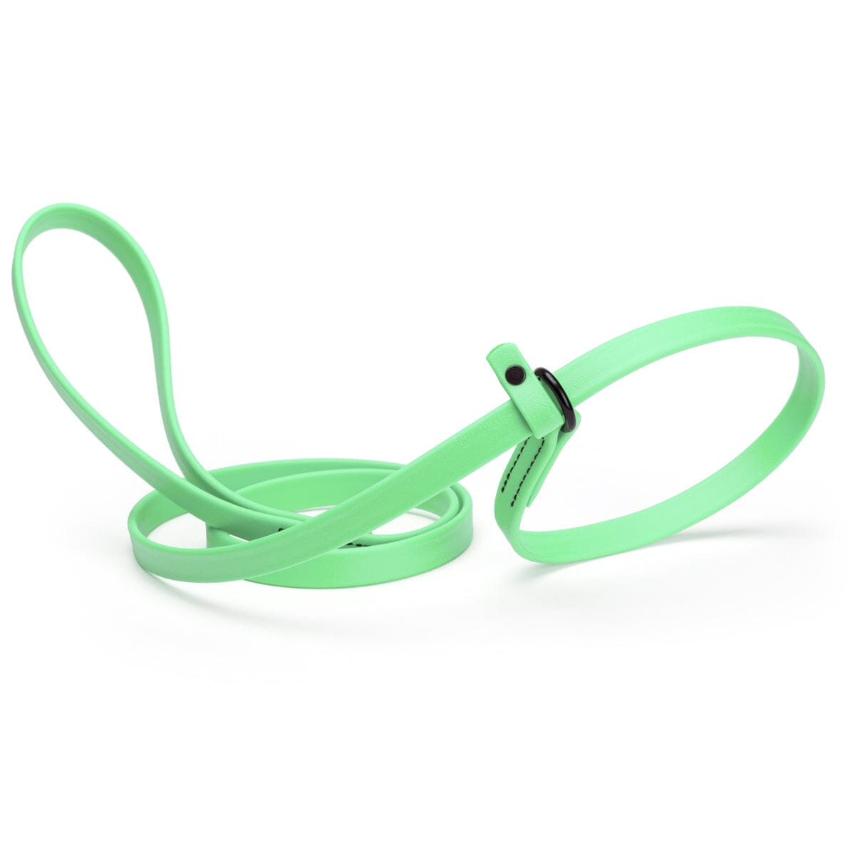 Biothane Slip Lead for Dogs, 5FT and 7FT by Dogline