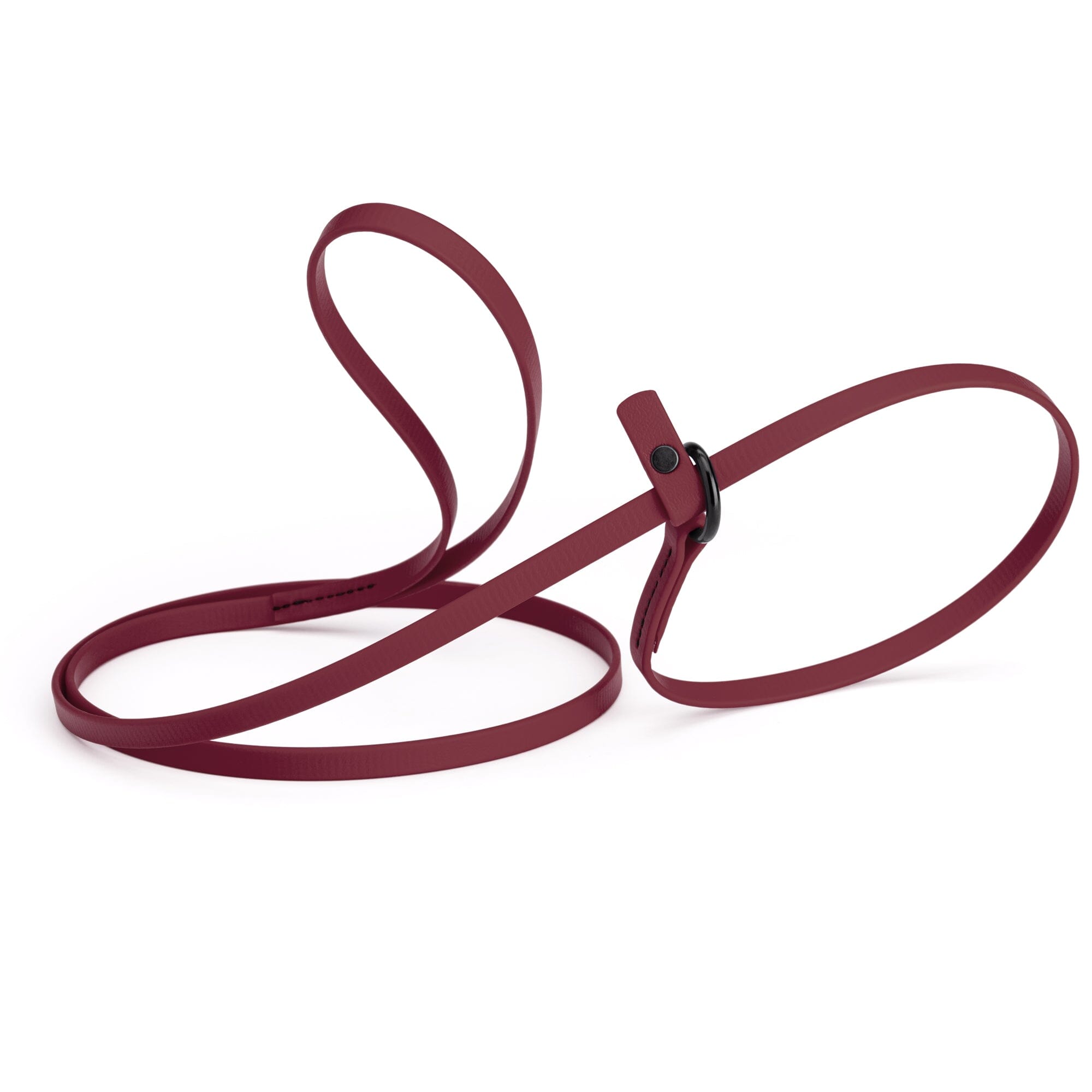 Biothane Slip Lead for Dogs, 5FT and 7FT by Dogline