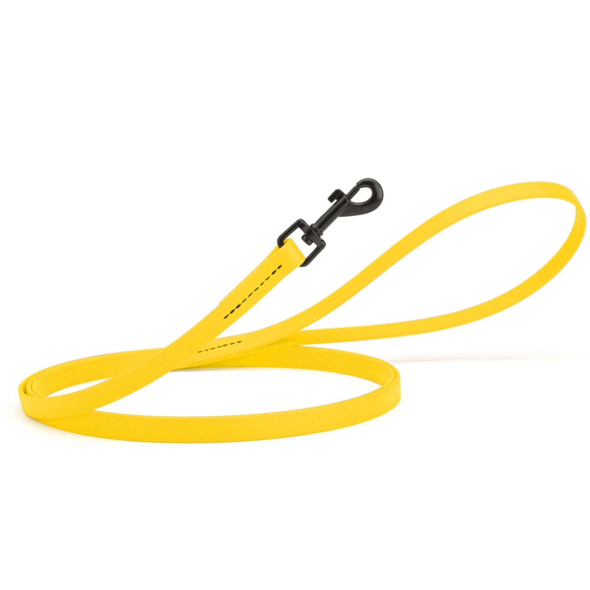Biothane Waterproof Dog Leash, 4 ft by Dogline