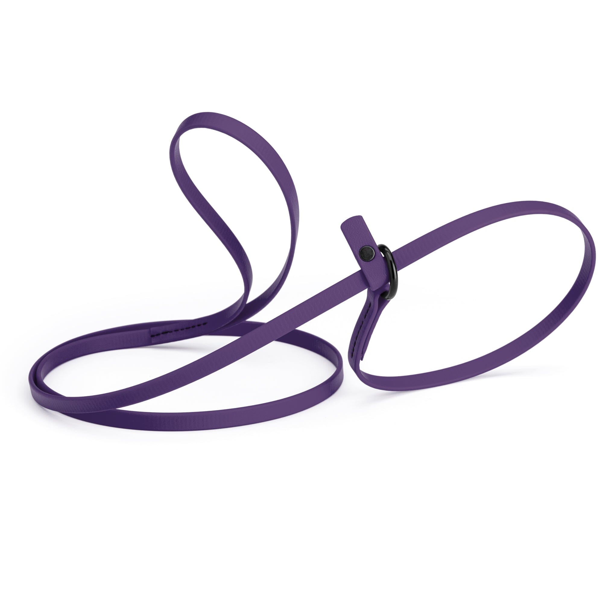 Biothane Slip Lead for Dogs, 5FT and 7FT by Dogline