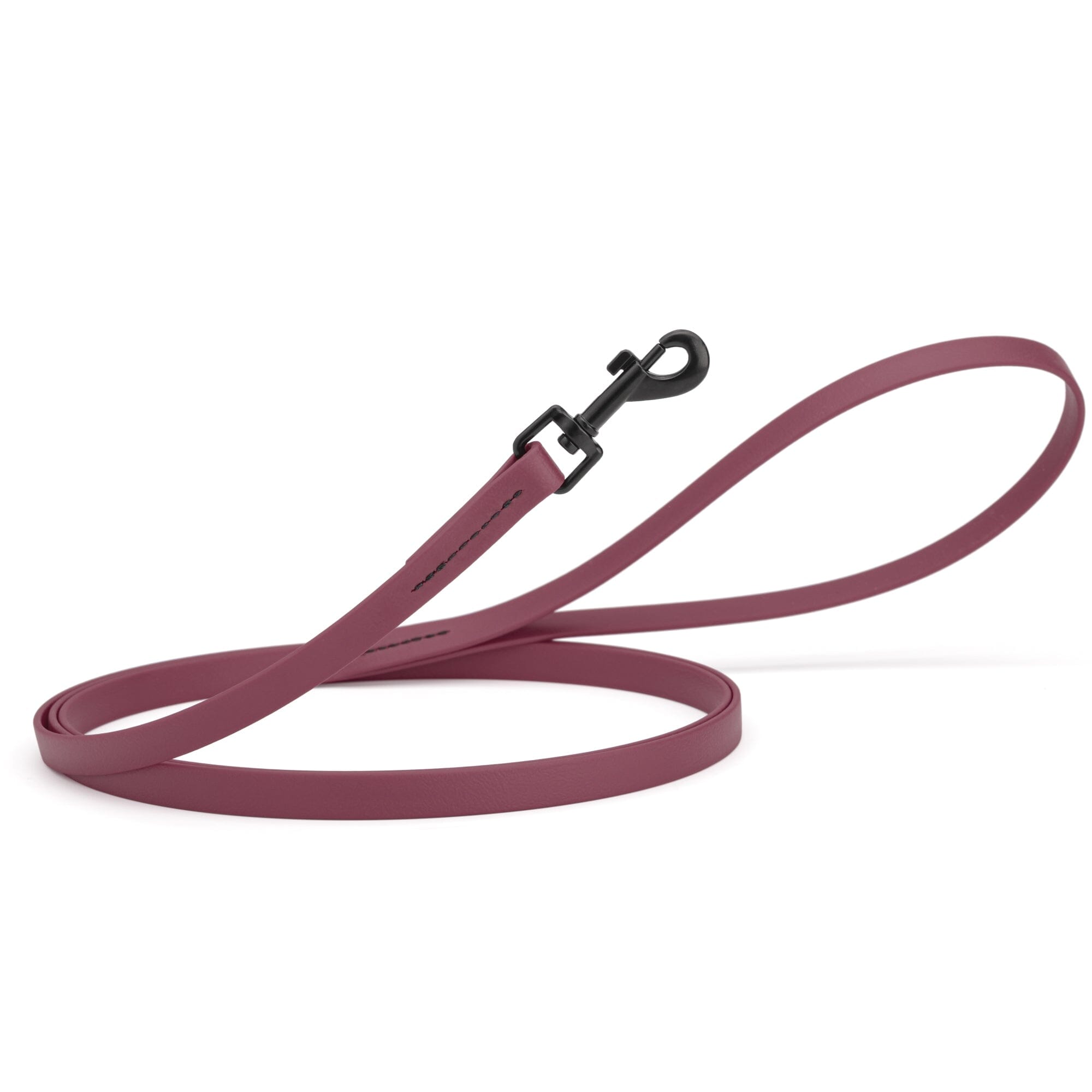 Biothane Waterproof Dog Leash, 4 ft by Dogline