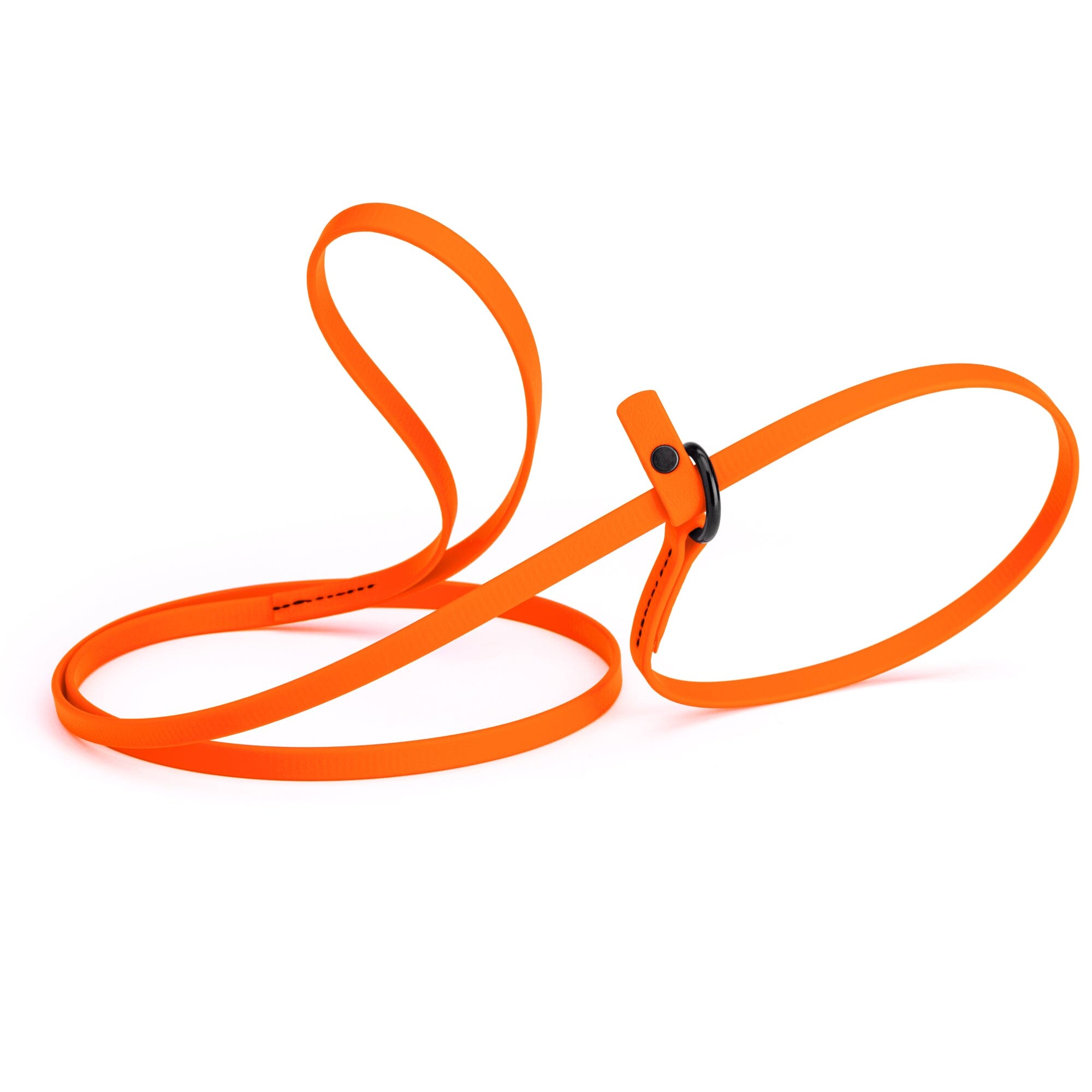 Biothane Slip Lead for Dogs, 5FT and 7FT by Dogline