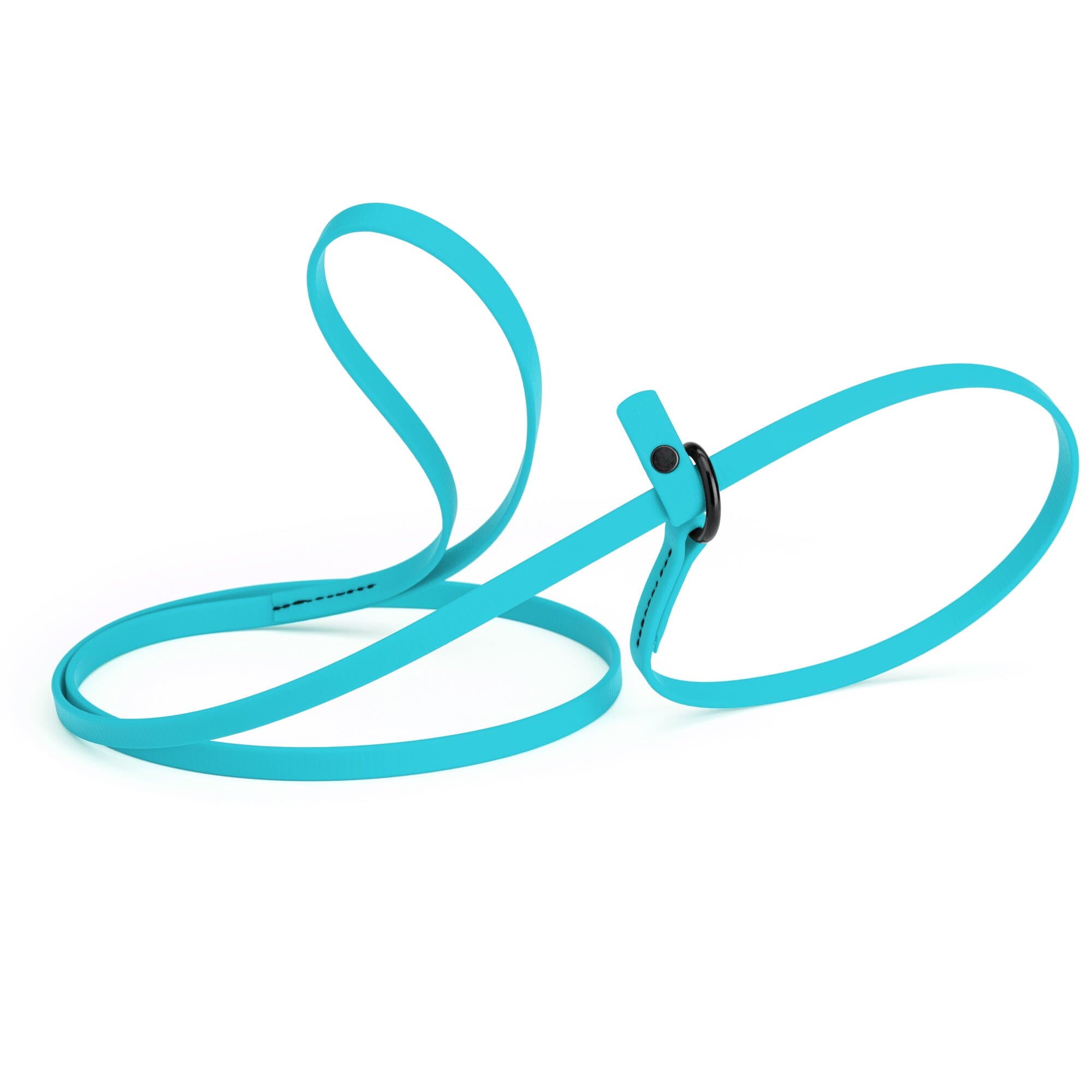 Biothane Slip Lead for Dogs, 5FT and 7FT by Dogline
