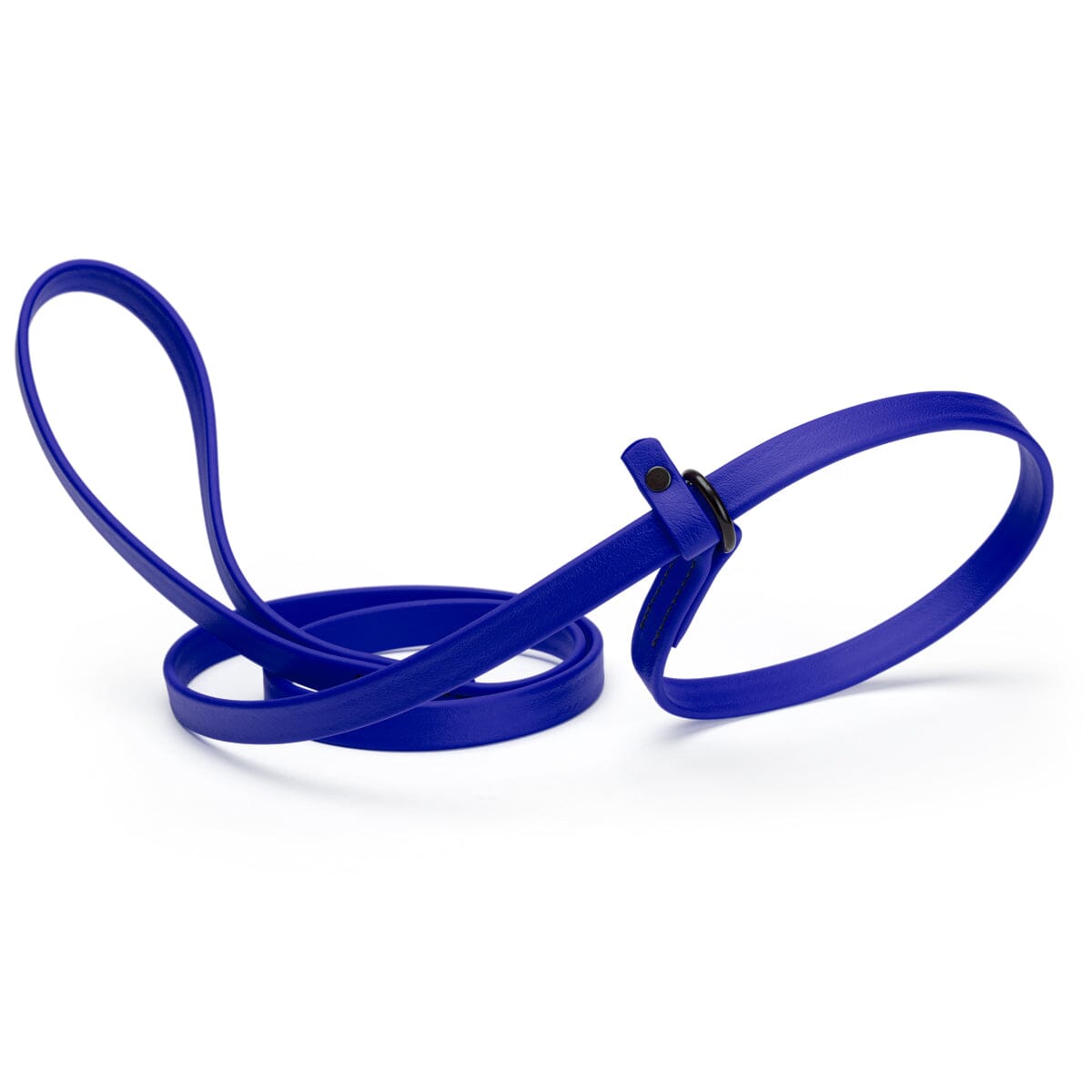 Biothane Slip Lead for Dogs, 5FT and 7FT by Dogline