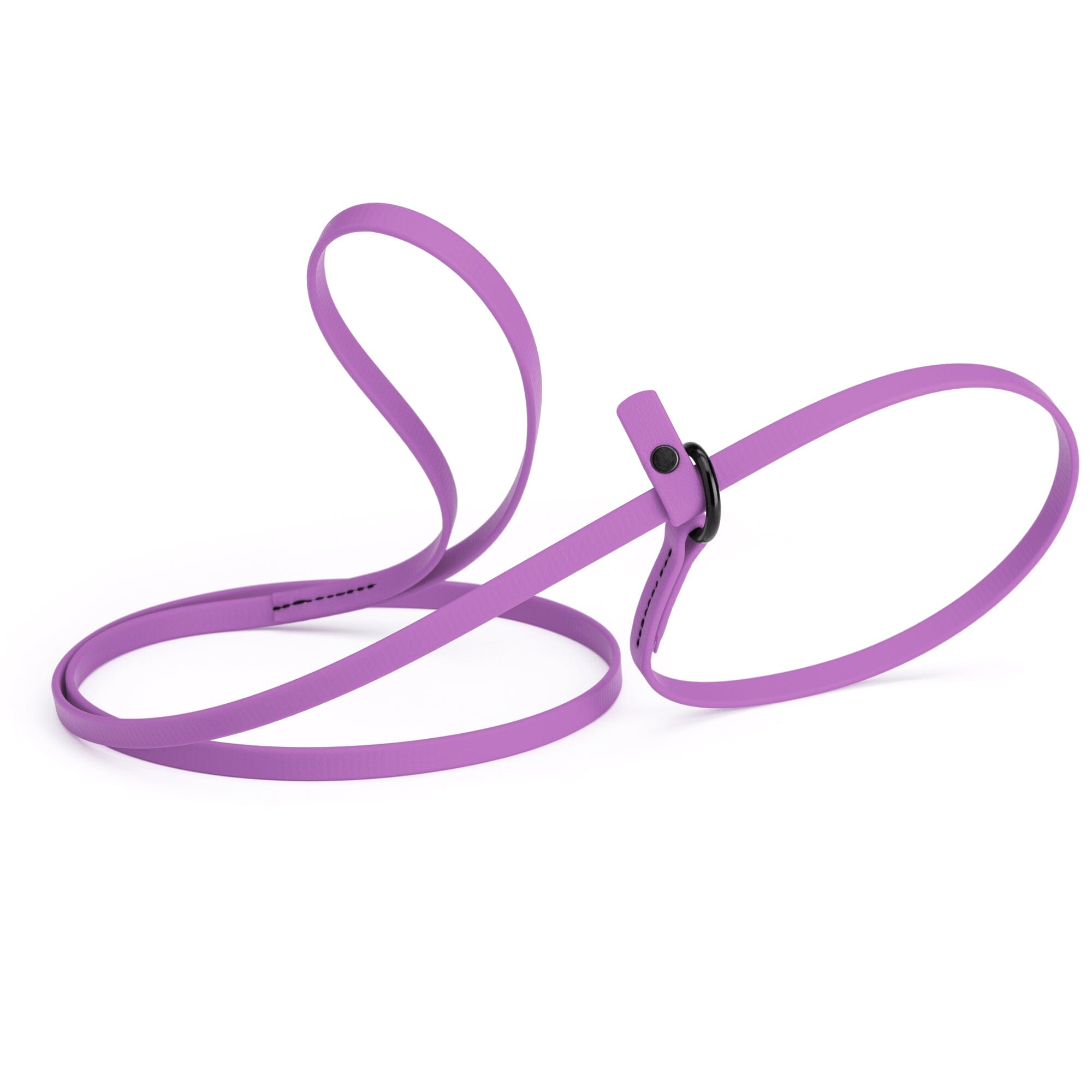 Biothane Slip Lead for Dogs, 5FT and 7FT by Dogline