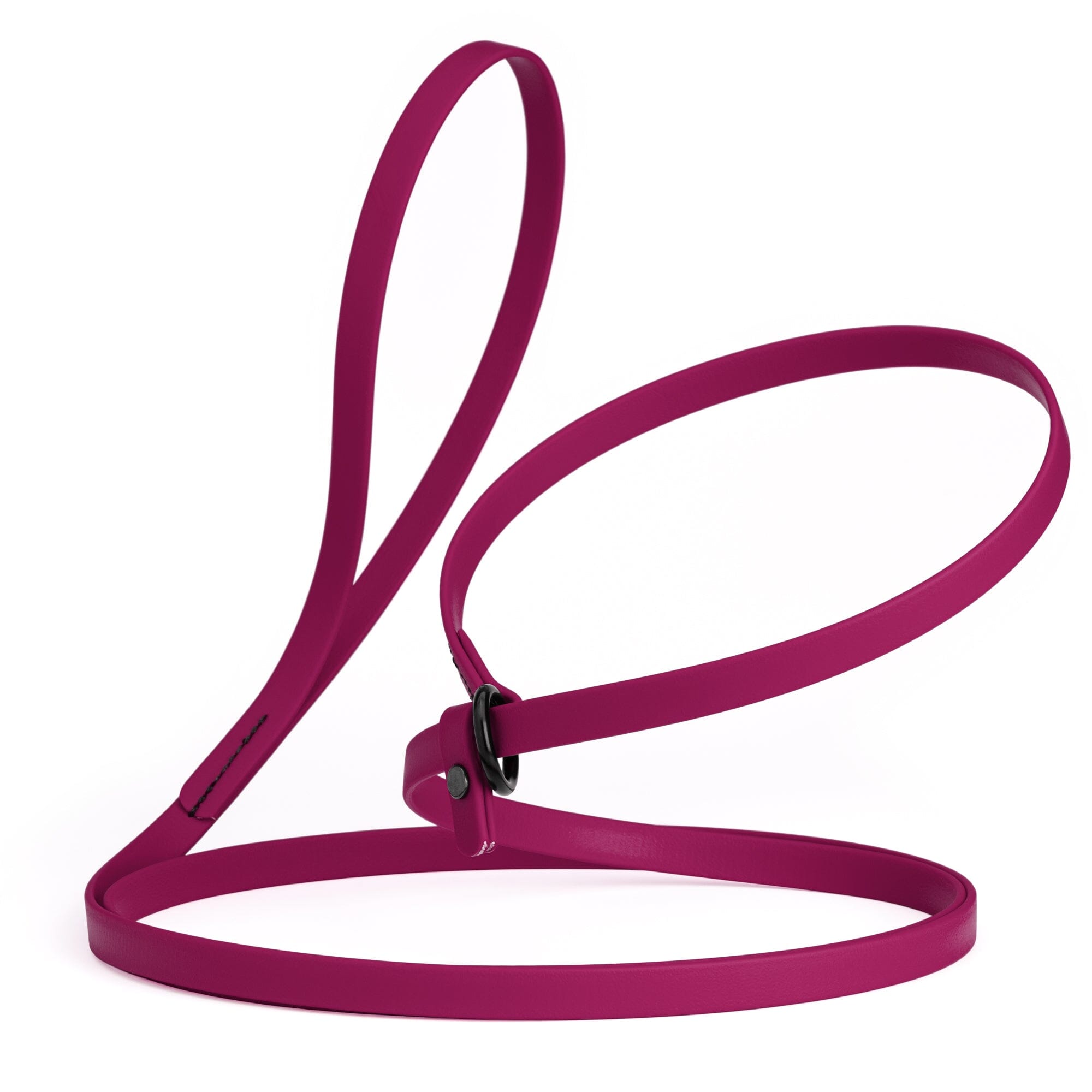 Biothane Slip Lead for Dogs, 5FT and 7FT by Dogline