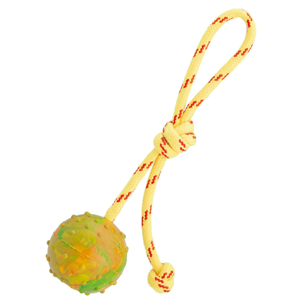 FDT Rubber Dog Ball on Rope, Medium - Diameter 2.3" (6 cm) by Dogline