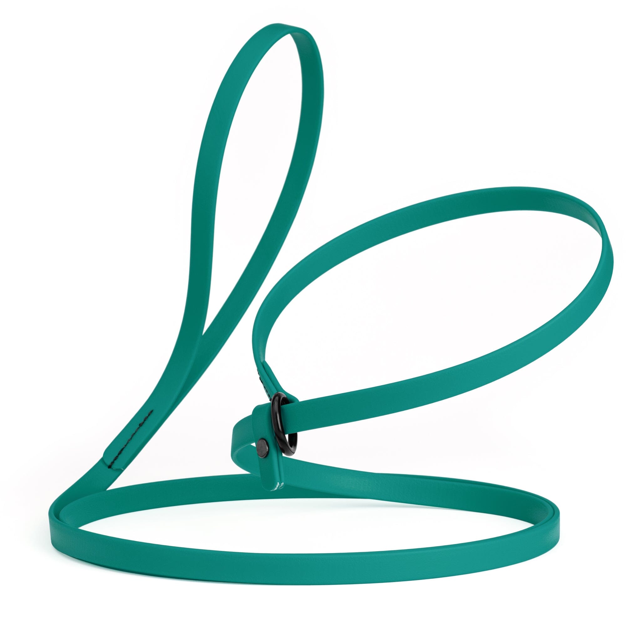 Biothane Slip Lead for Dogs, 5FT and 7FT by Dogline