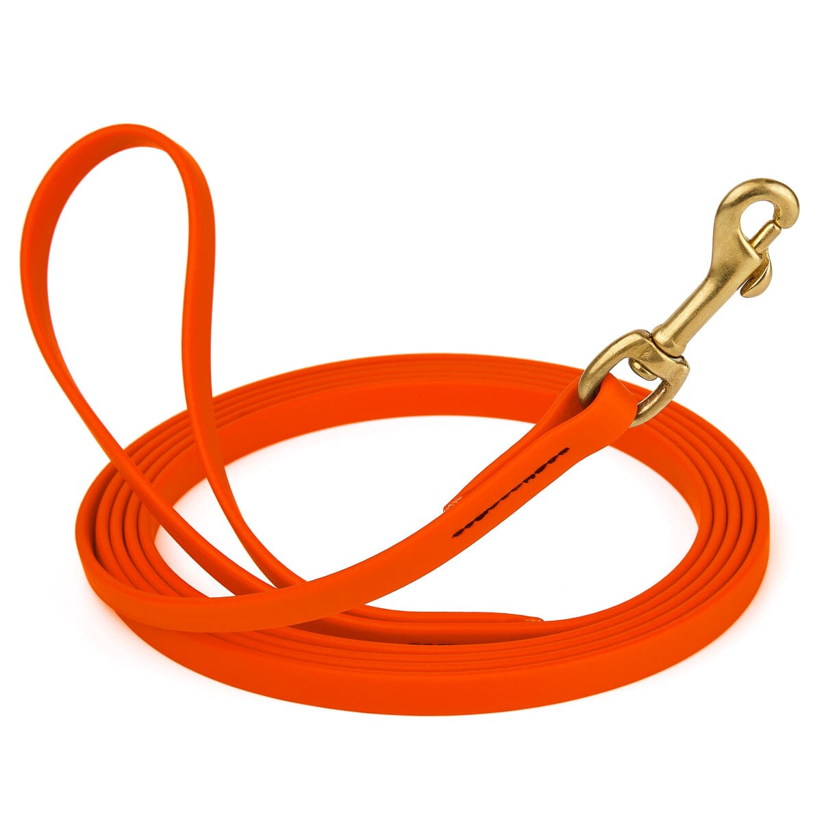 Viper Biothane Long Line 10 ft Lead with Brass Hardware by Dogline