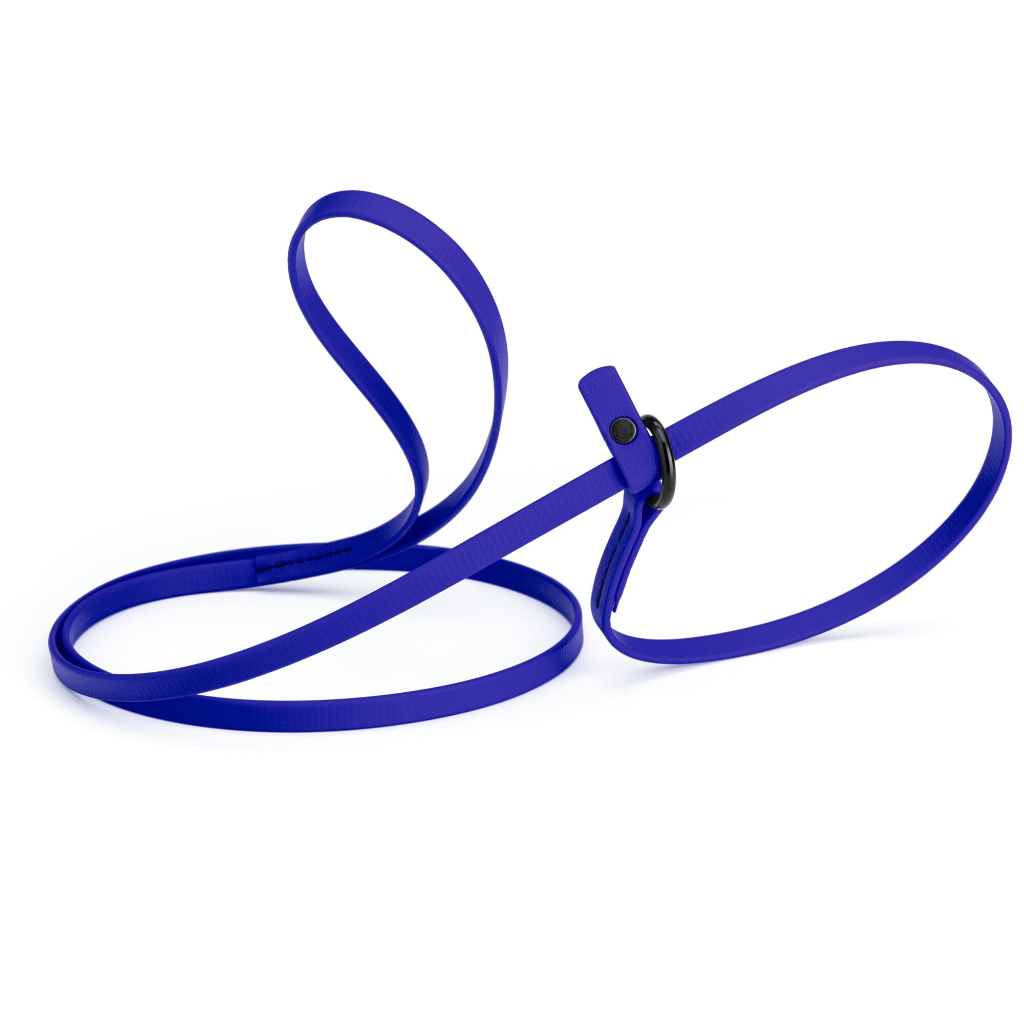 Biothane Slip Lead for Dogs, 5FT and 7FT by Dogline