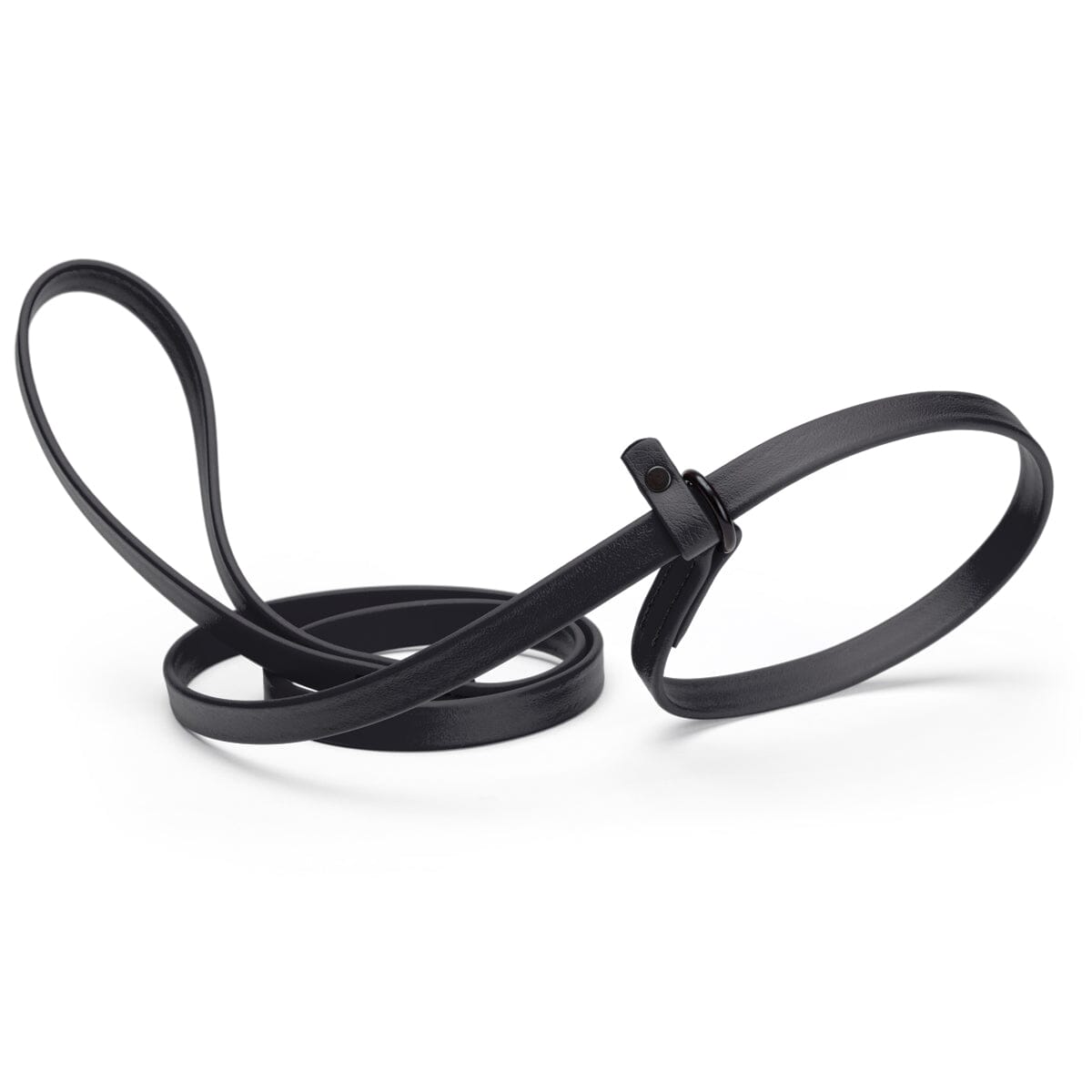 Biothane Slip Lead for Dogs, 5FT and 7FT by Dogline