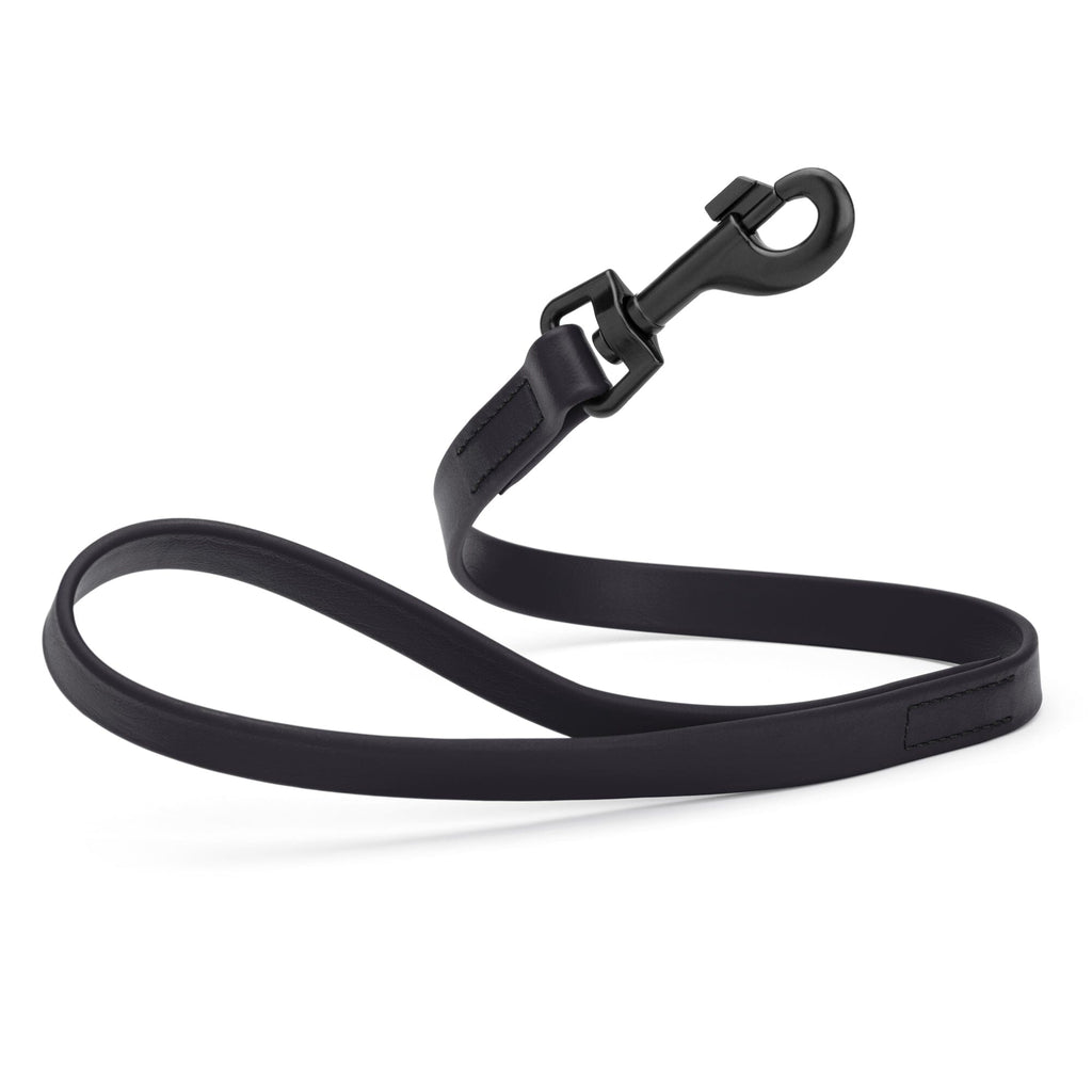 Biothane Waterproof Traffic Lead for Dogs, 2 ft by Dogline
